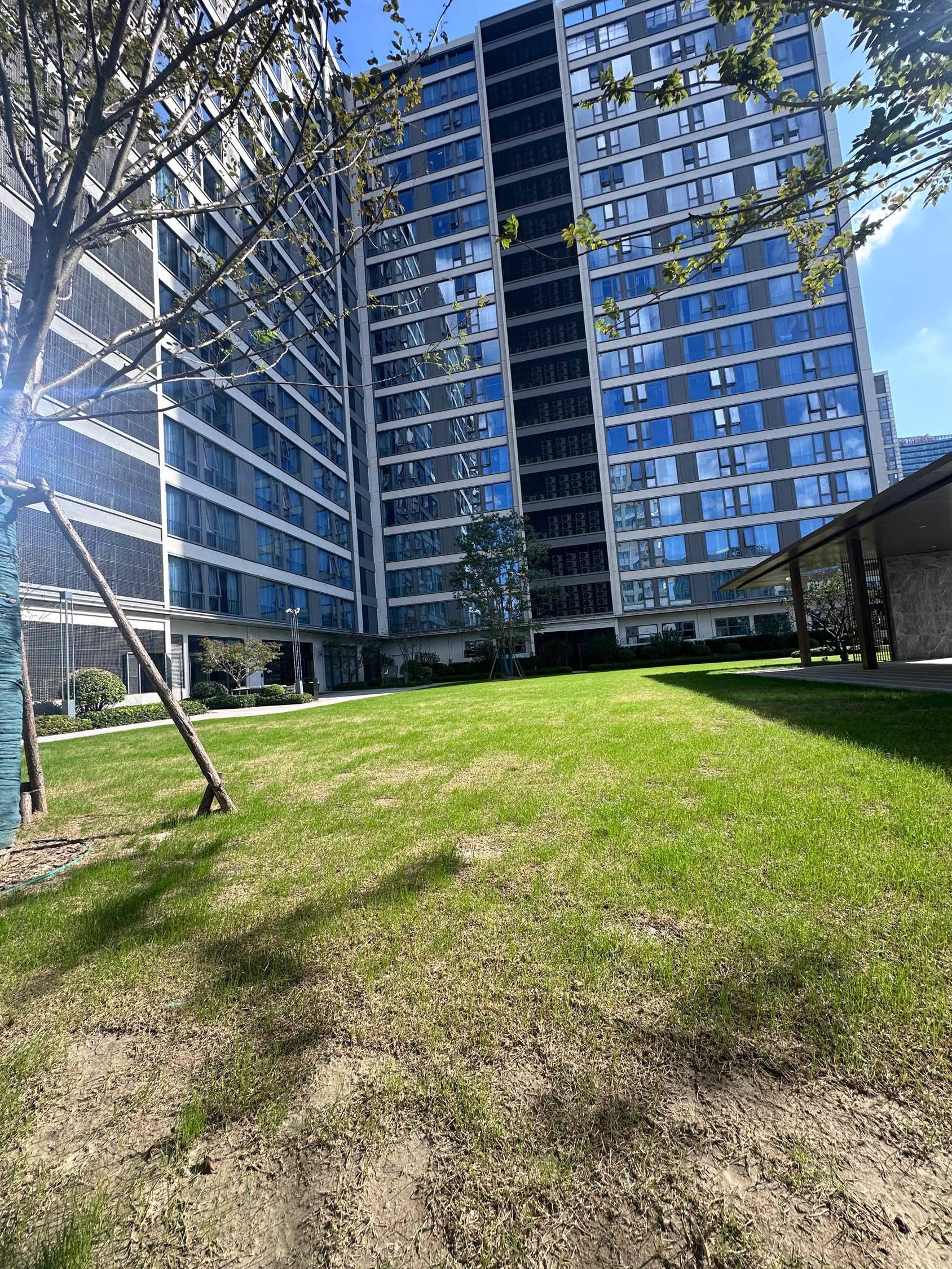 阳光正好，微风不燥