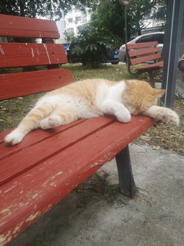 2号线 淞虹路 蹲室友