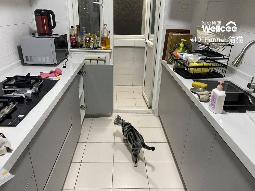 我家这个房子真的旺租客_4