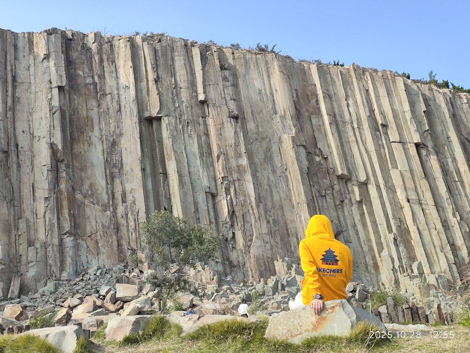找室友搭子男女