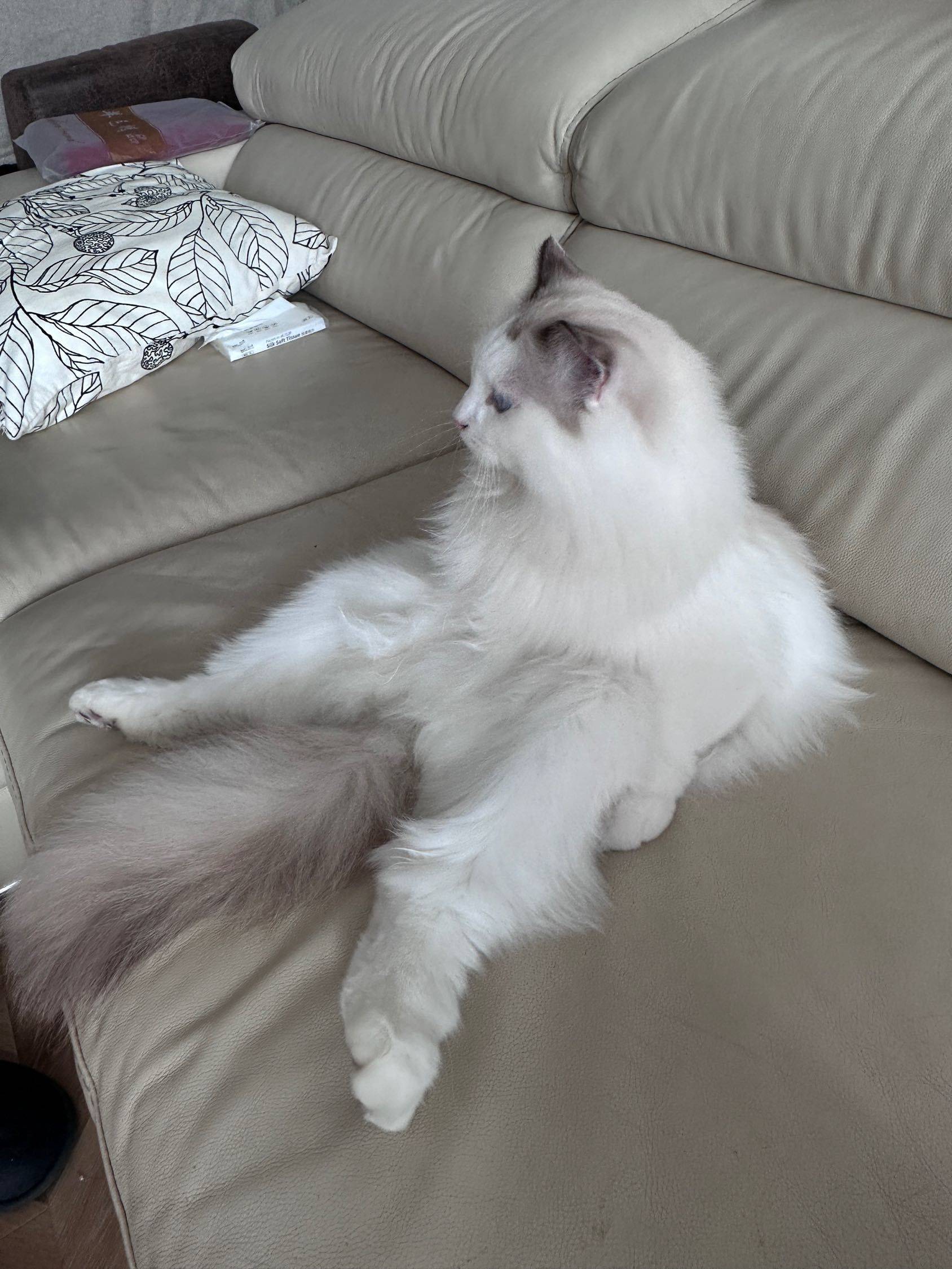 13号线江宁路蹲室友_3