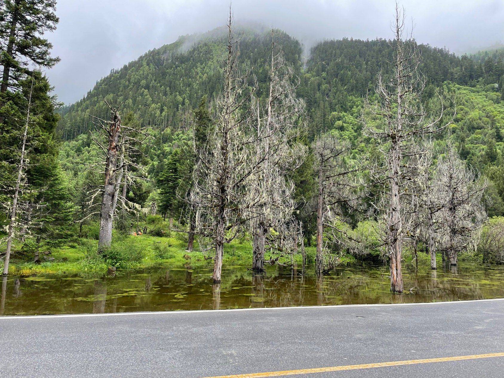 成都双流，文星地铁站蜀星花园找室友啊 