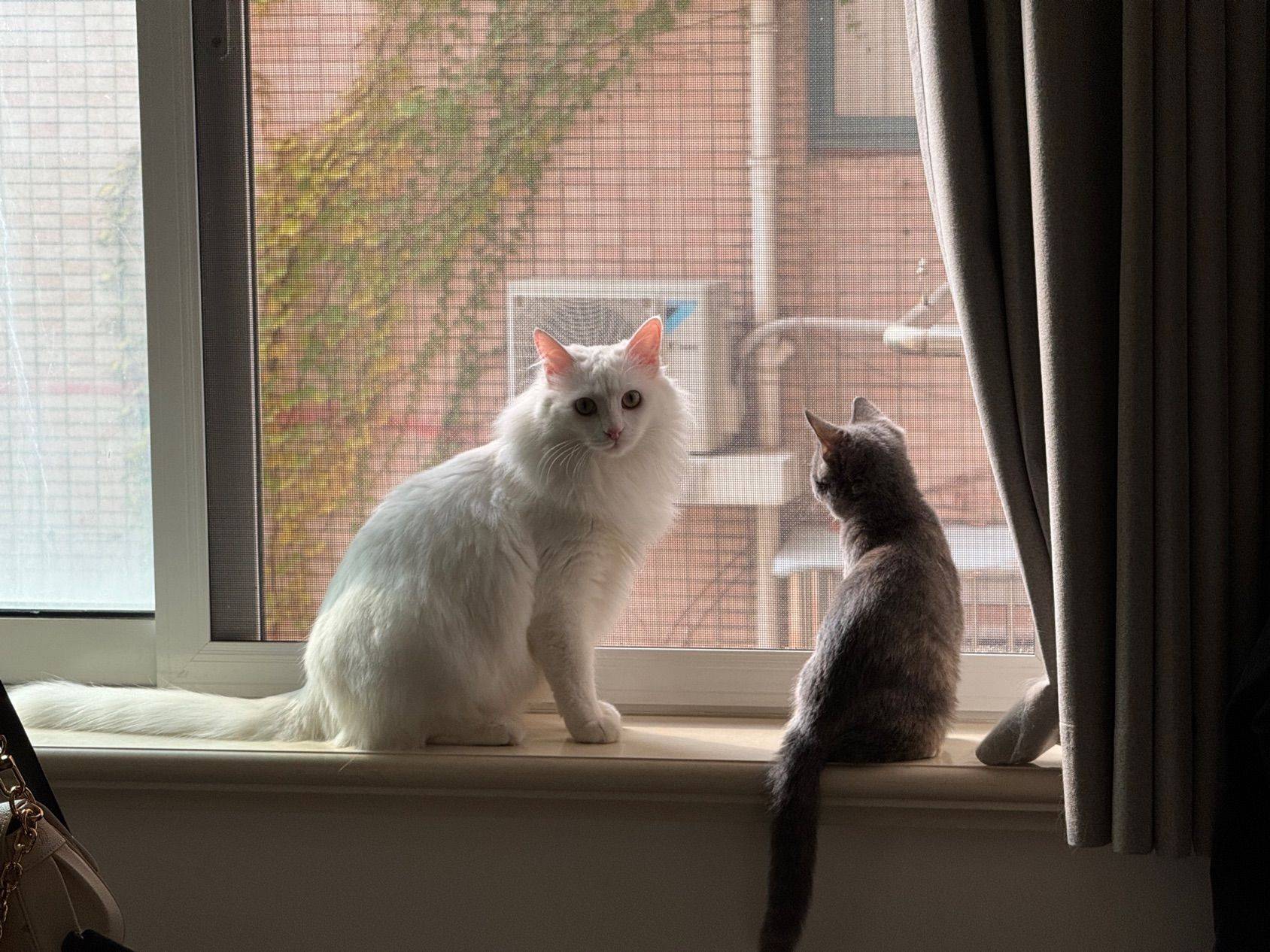 爱情💓就是我陪你长大&你陪我变老