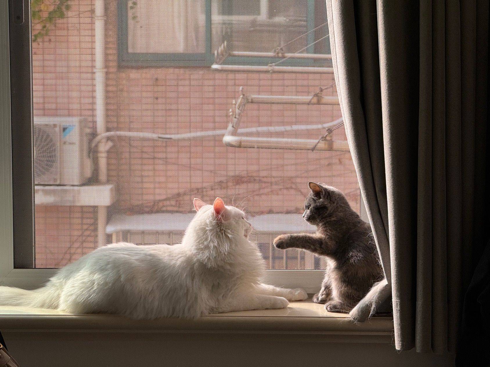 爱情💓就是我陪你长大&你陪我变老_3