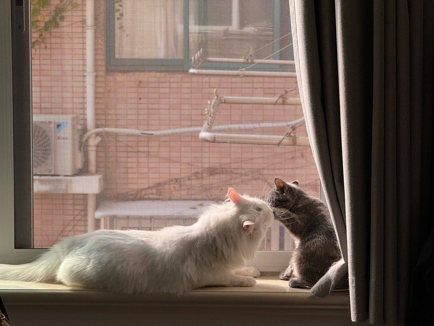 爱情💓就是我陪你长大&你陪我变老_1