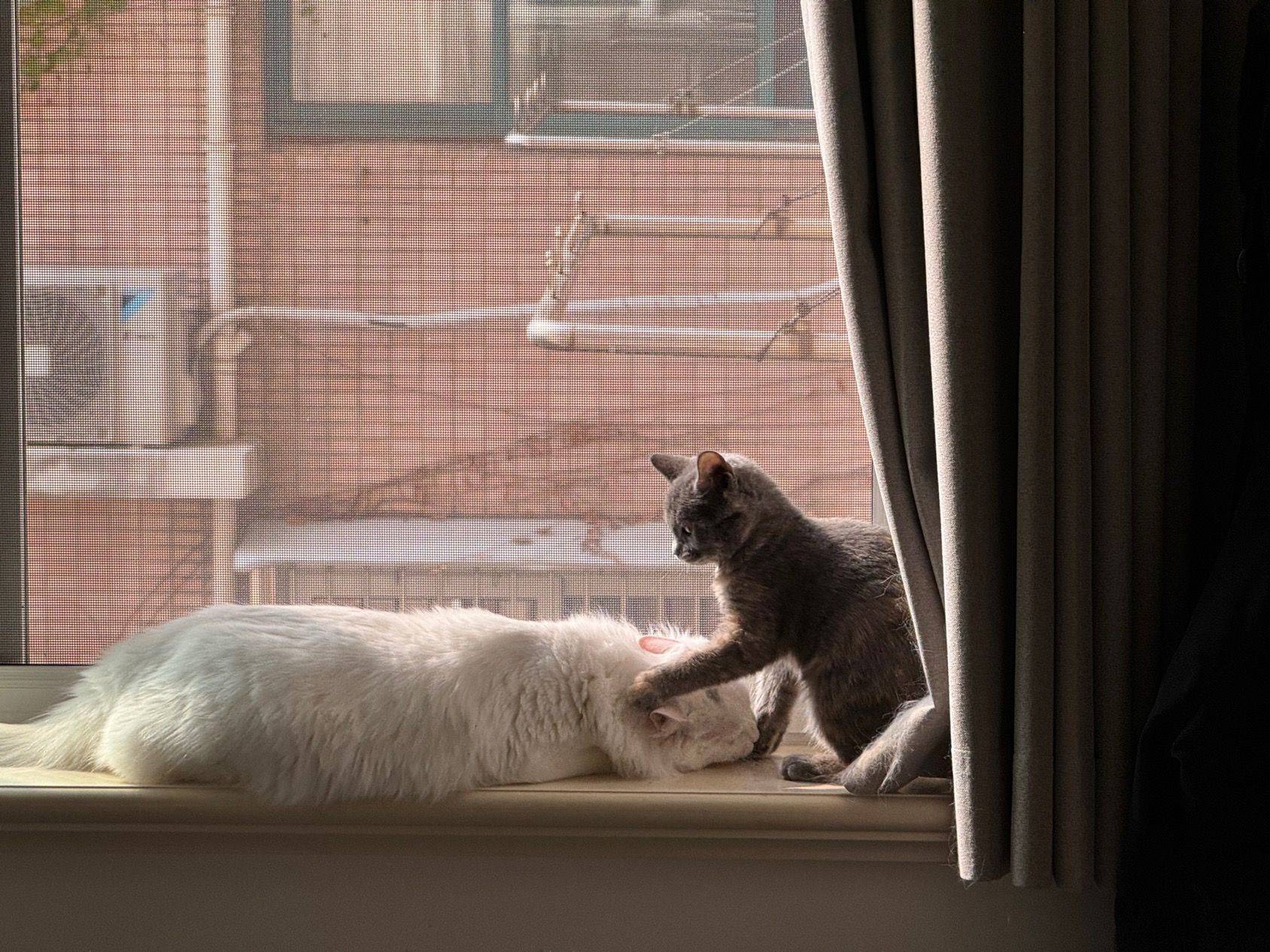 爱情💓就是我陪你长大&你陪我变老_2