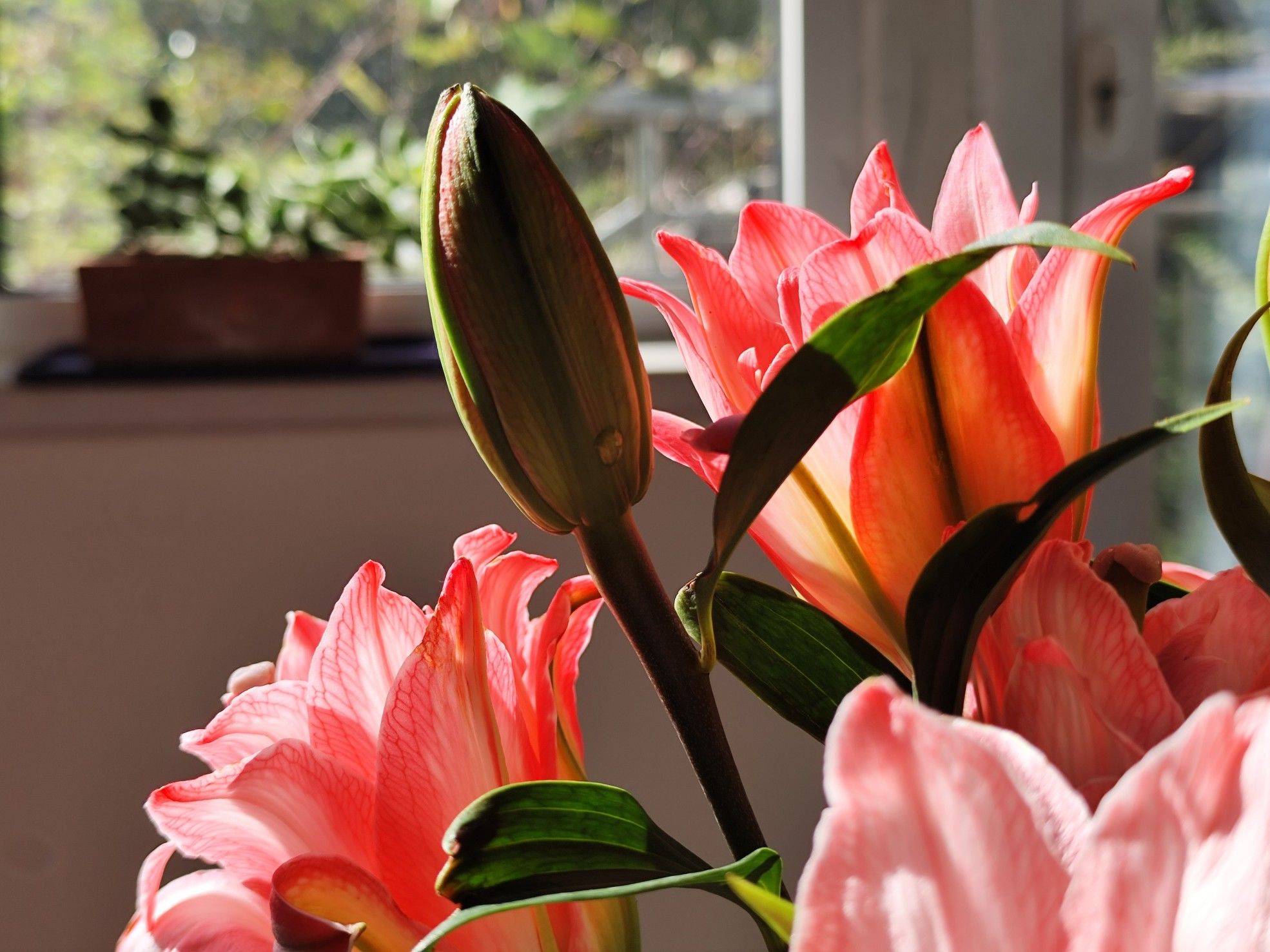 济南市中心租房找我 飞机 _3