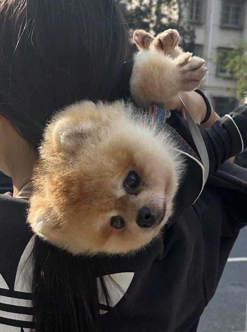 with my honey. 🐶. 我