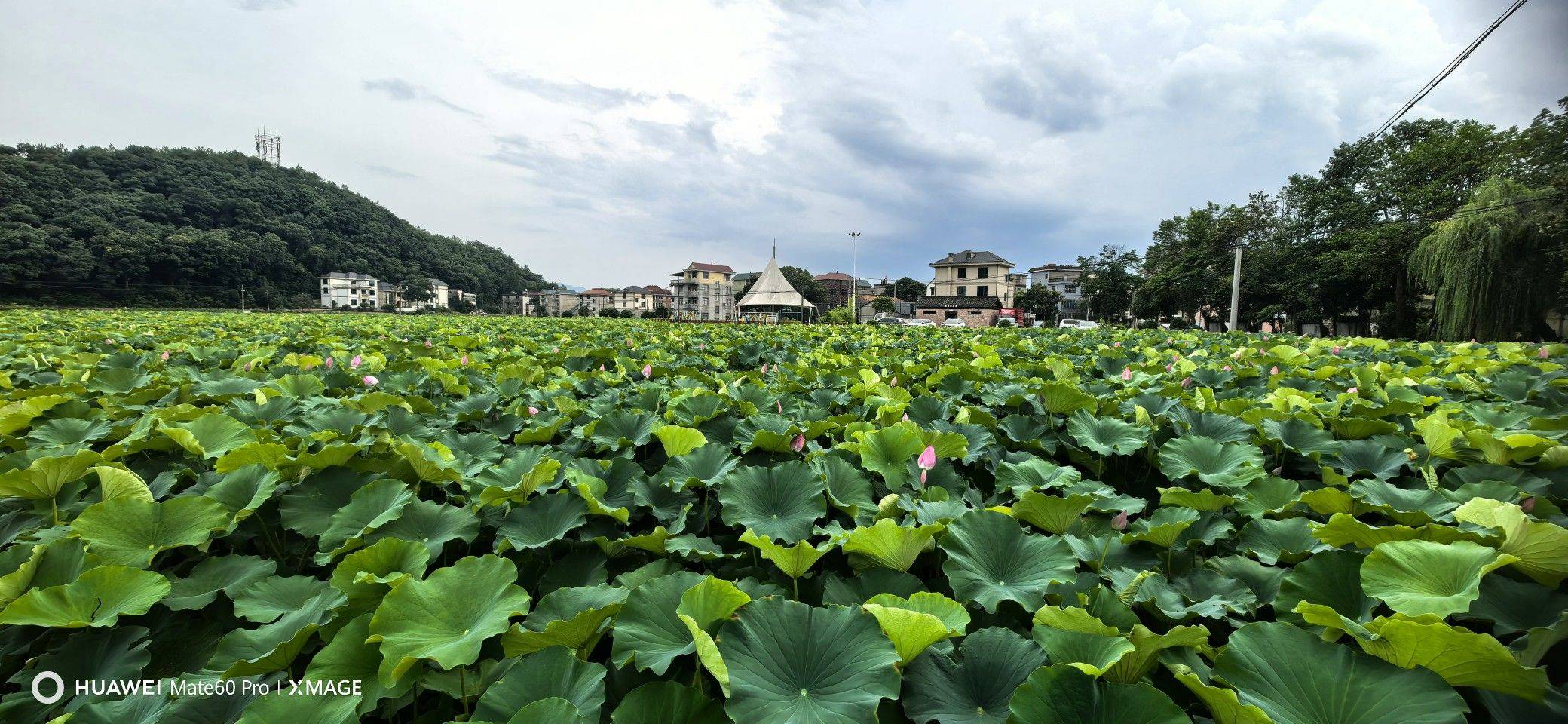 嘉兴市 城市唤醒计划 