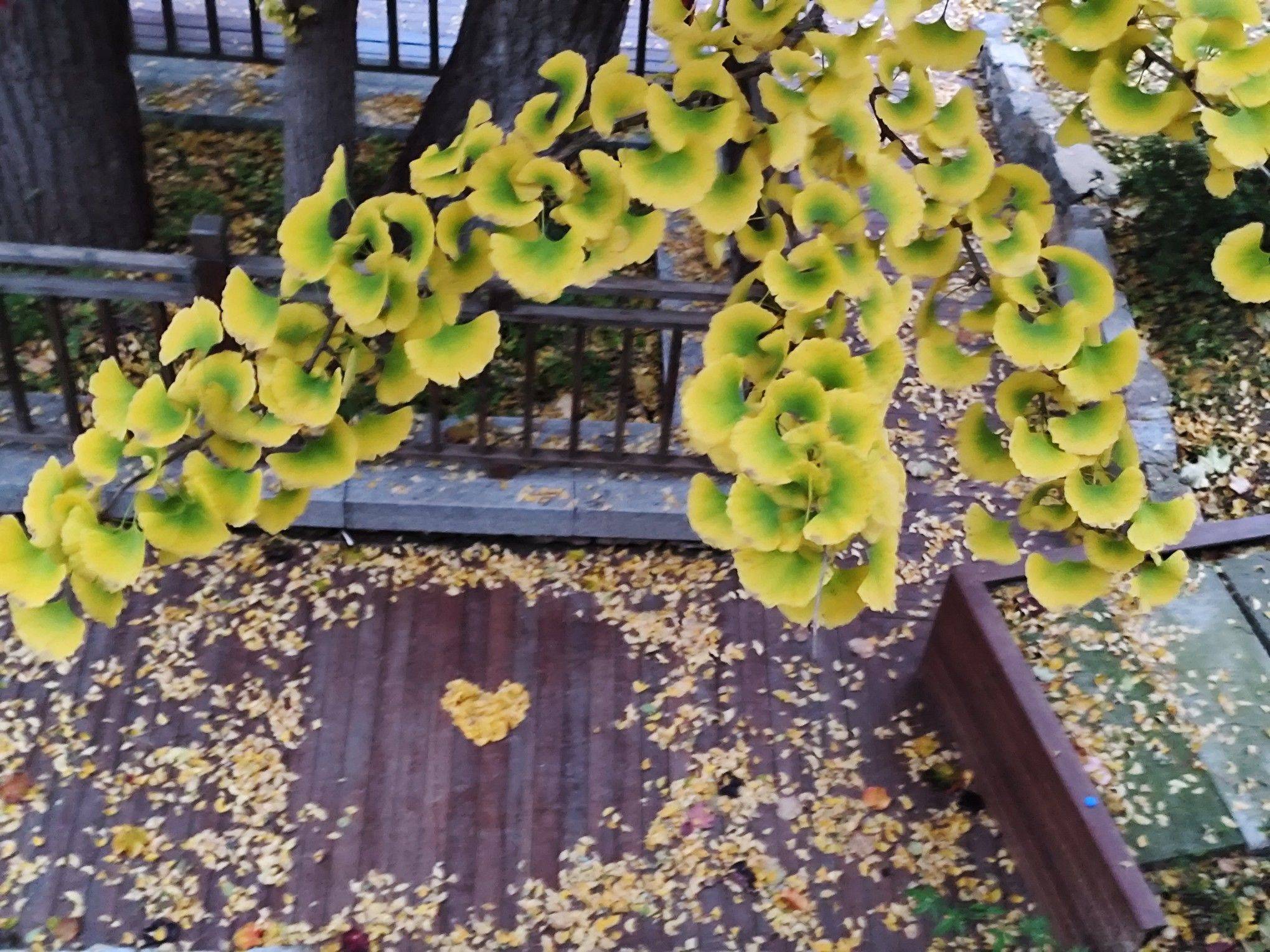 无边落木萧萧下，不尽长江滚滚来……好房东_3