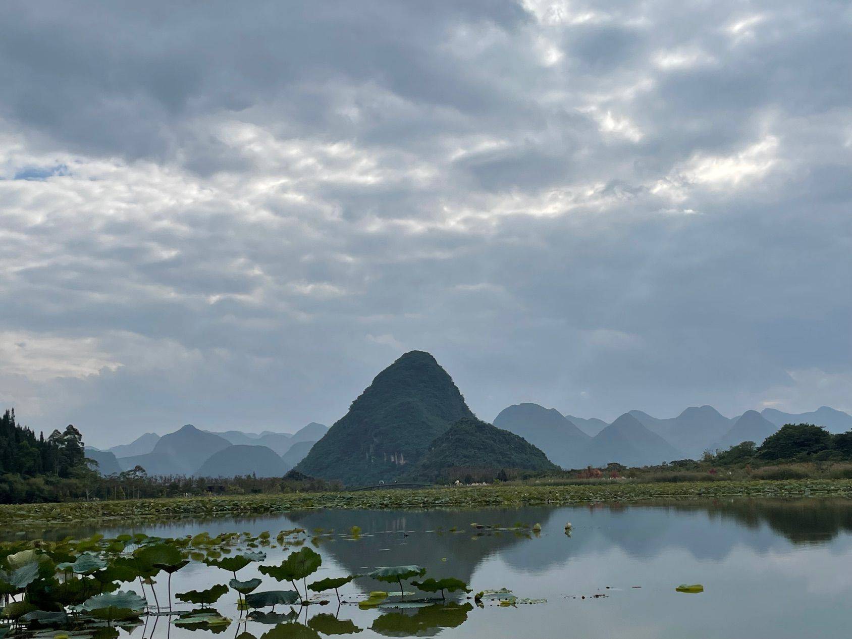 双流文星找室友
