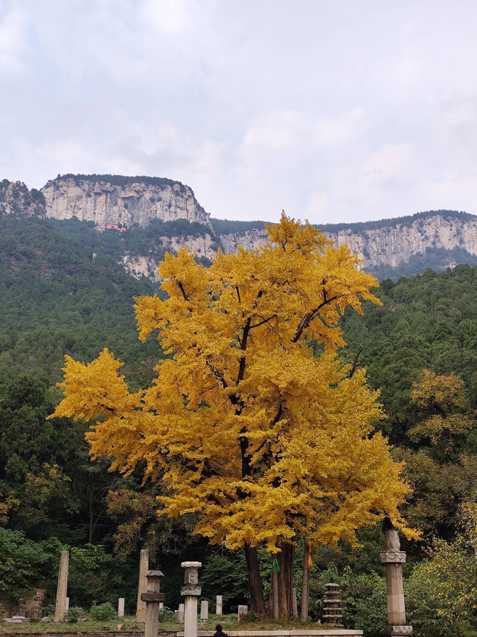 无边落木萧萧下，不尽长江滚滚来……好房东_4