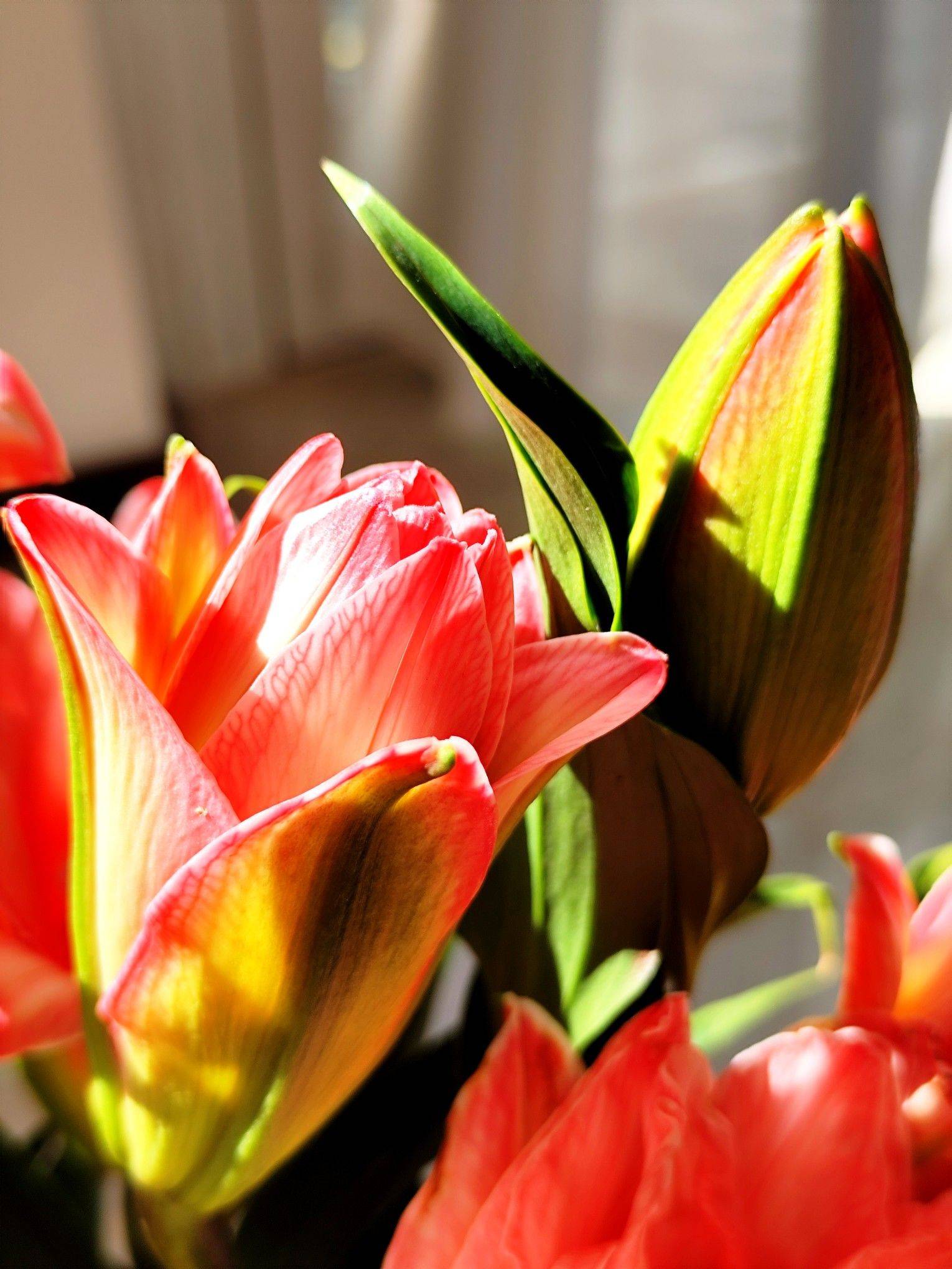 济南市中心租房找我 飞机 _4