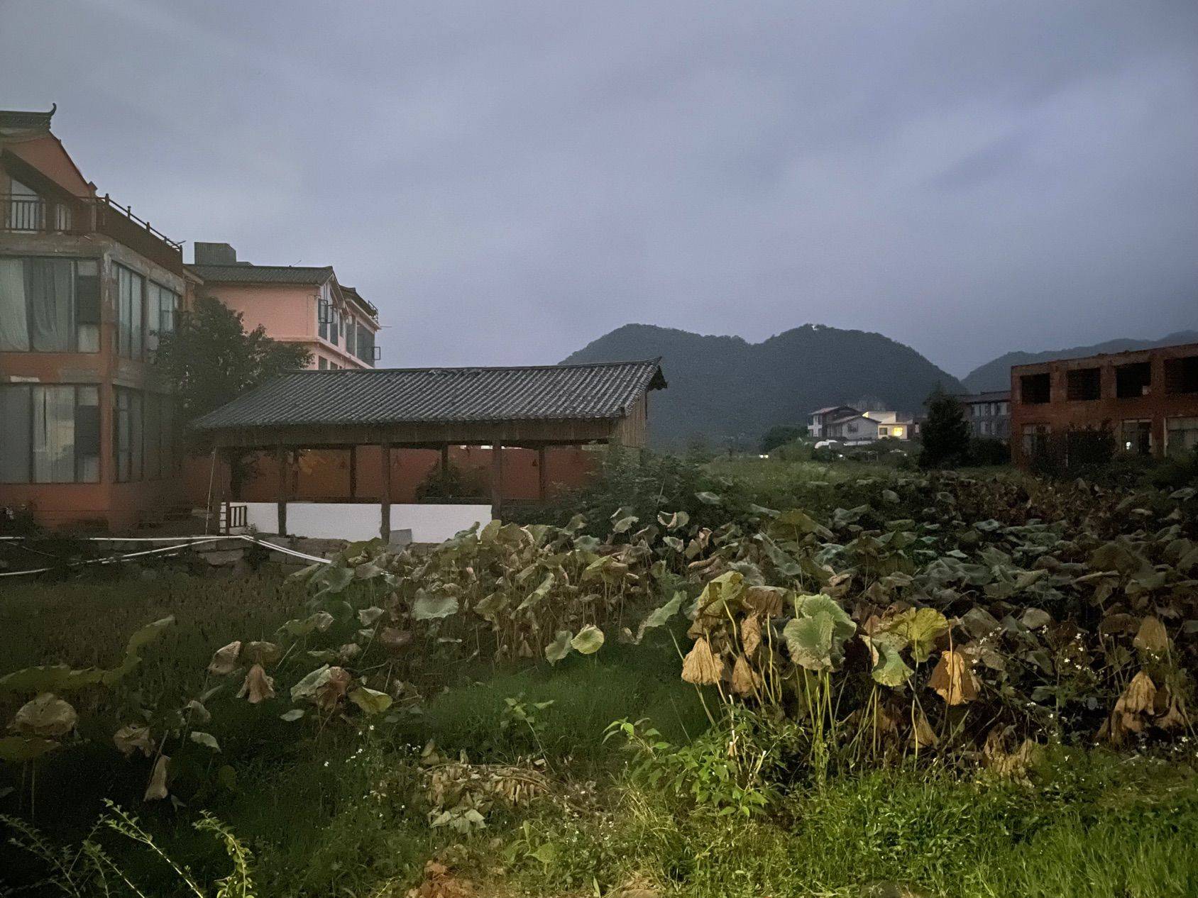 双流文星有房找室友