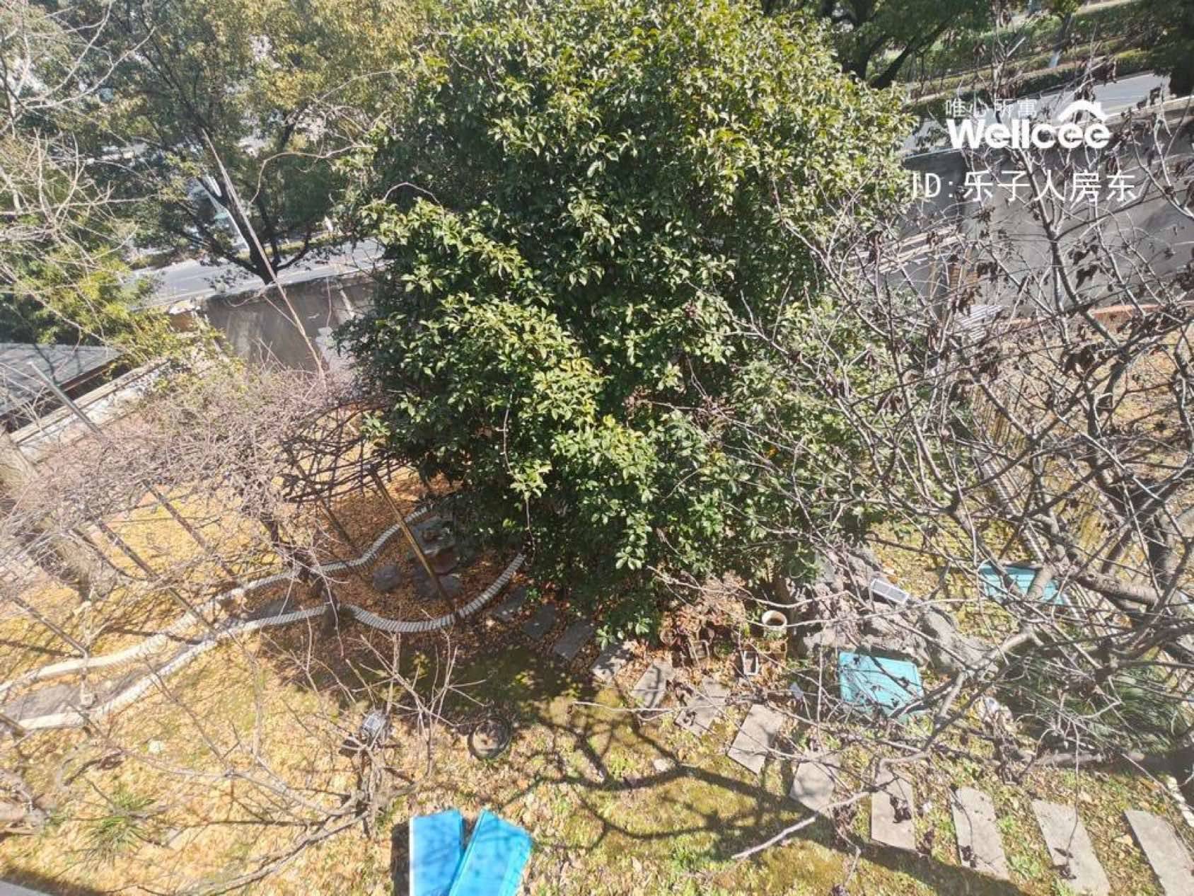 终于除完草了_3