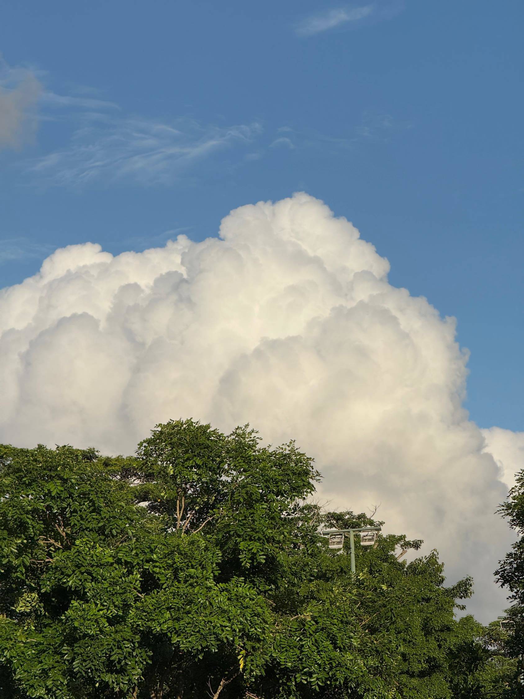 深圳龙华找合租室友