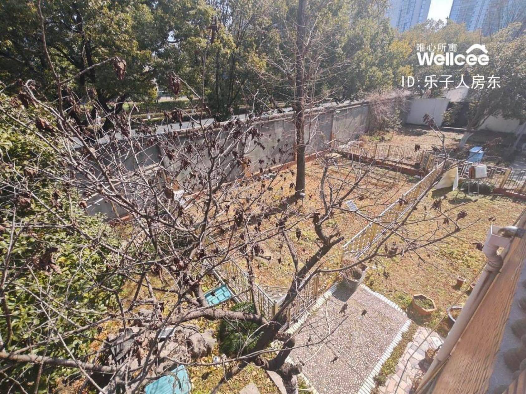 终于除完草了_2