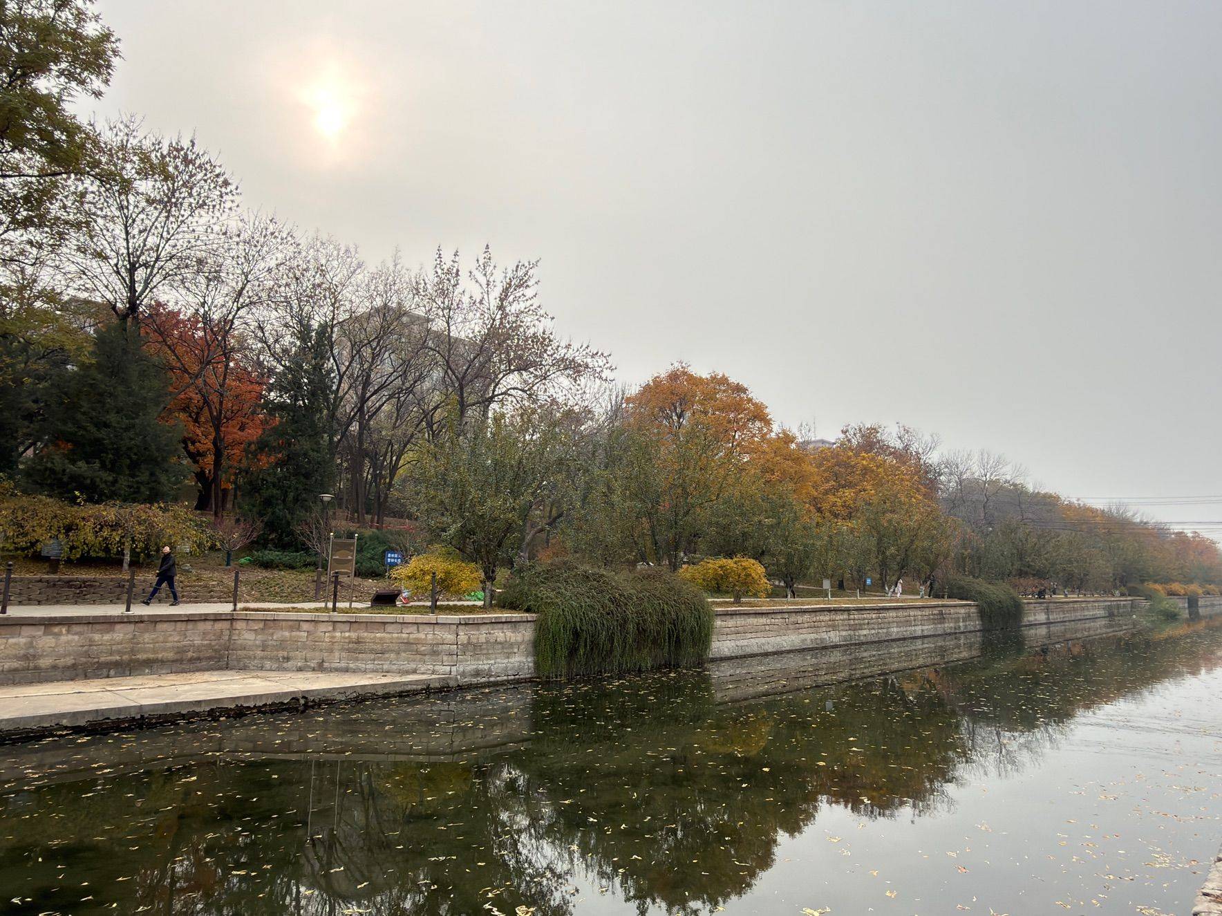 小月河的秋 房东直租 电梯阳光暖气大居室_2