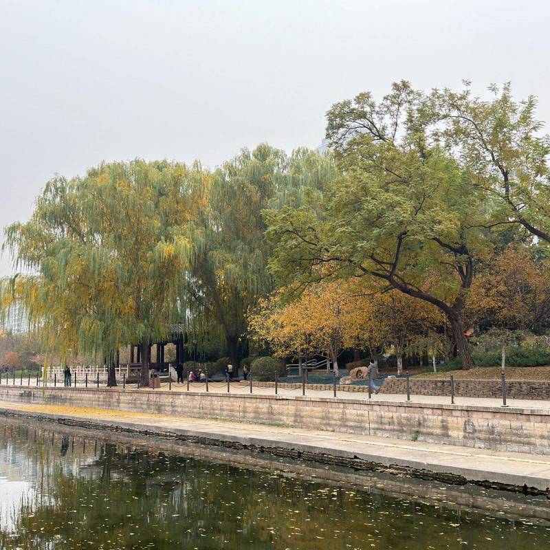 小月河的秋 房东直租 电梯阳光暖气大居室