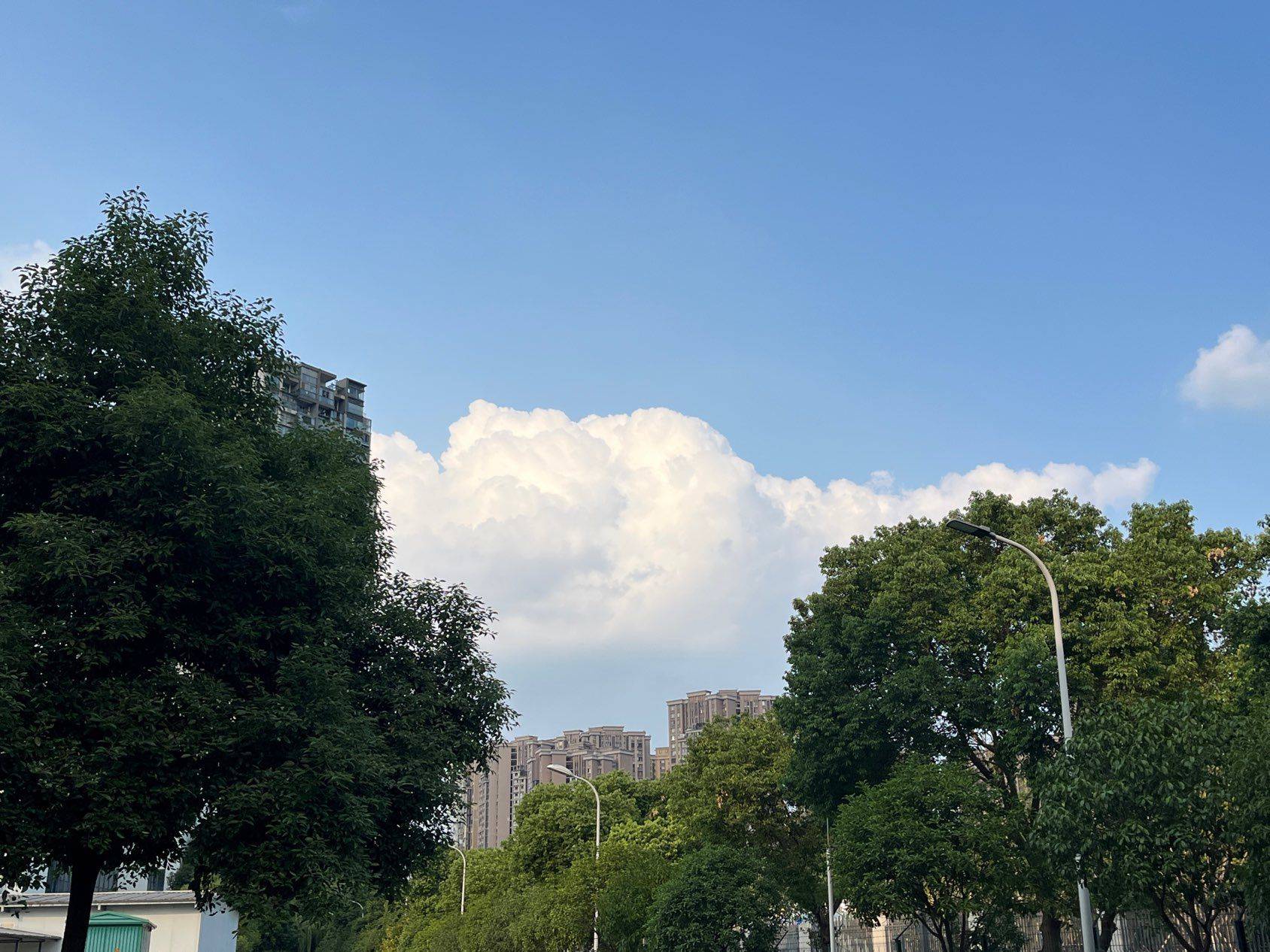 万景峰合租
