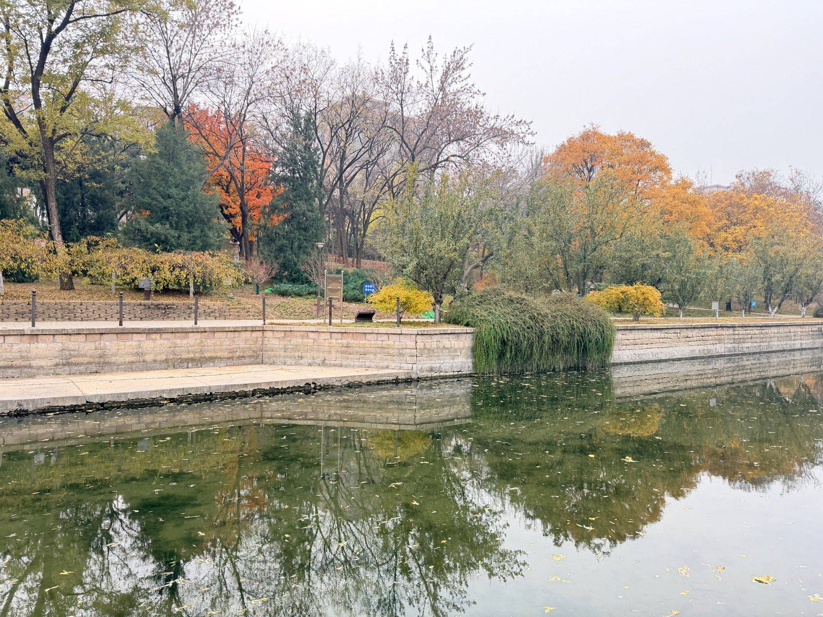 小月河的秋 房东直租 电梯阳光暖气大居室_1