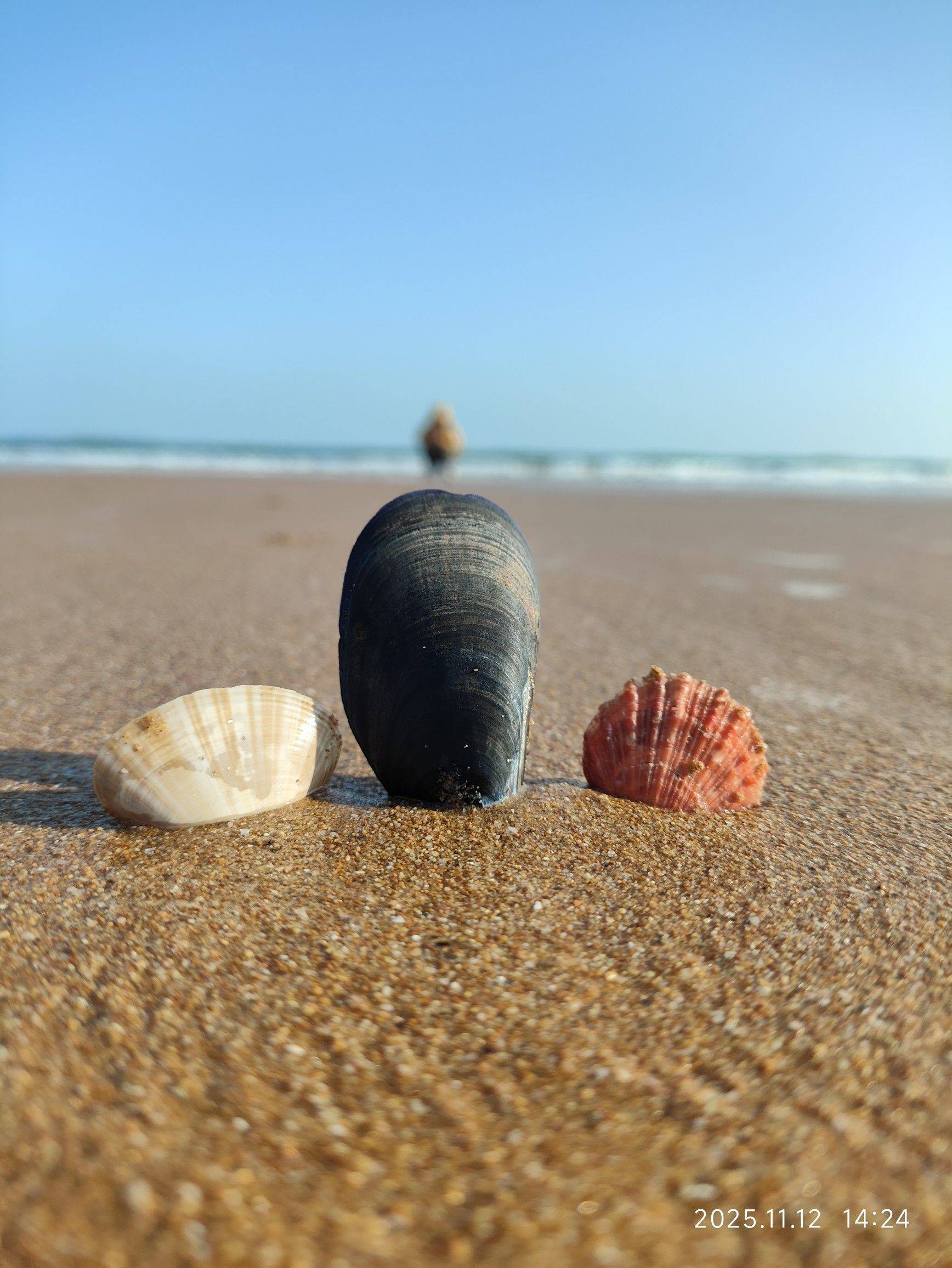 找合租搭子 男女不限