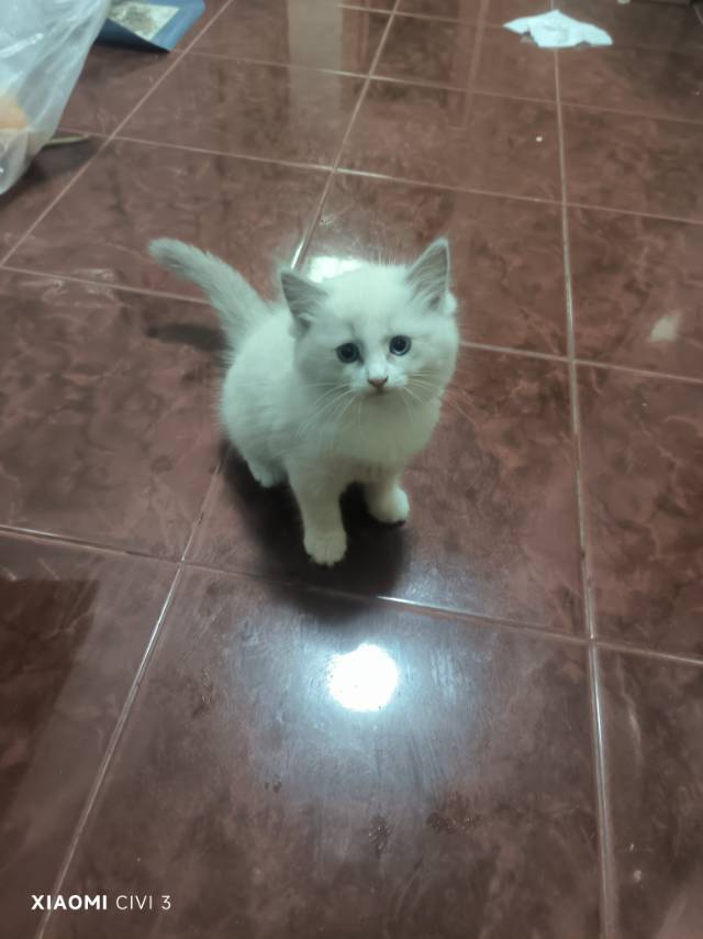 无锡新吴区旺庄路地铁站附近有个空房间想找