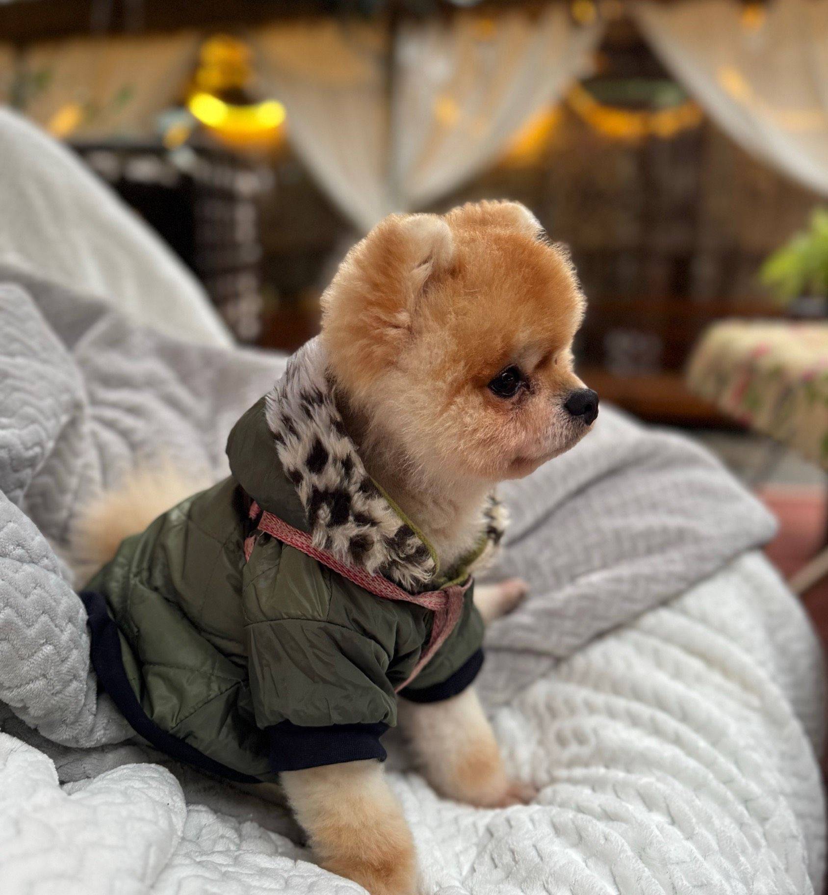 我和我麻麻在线蹲两个神仙租客. 我麻麻人