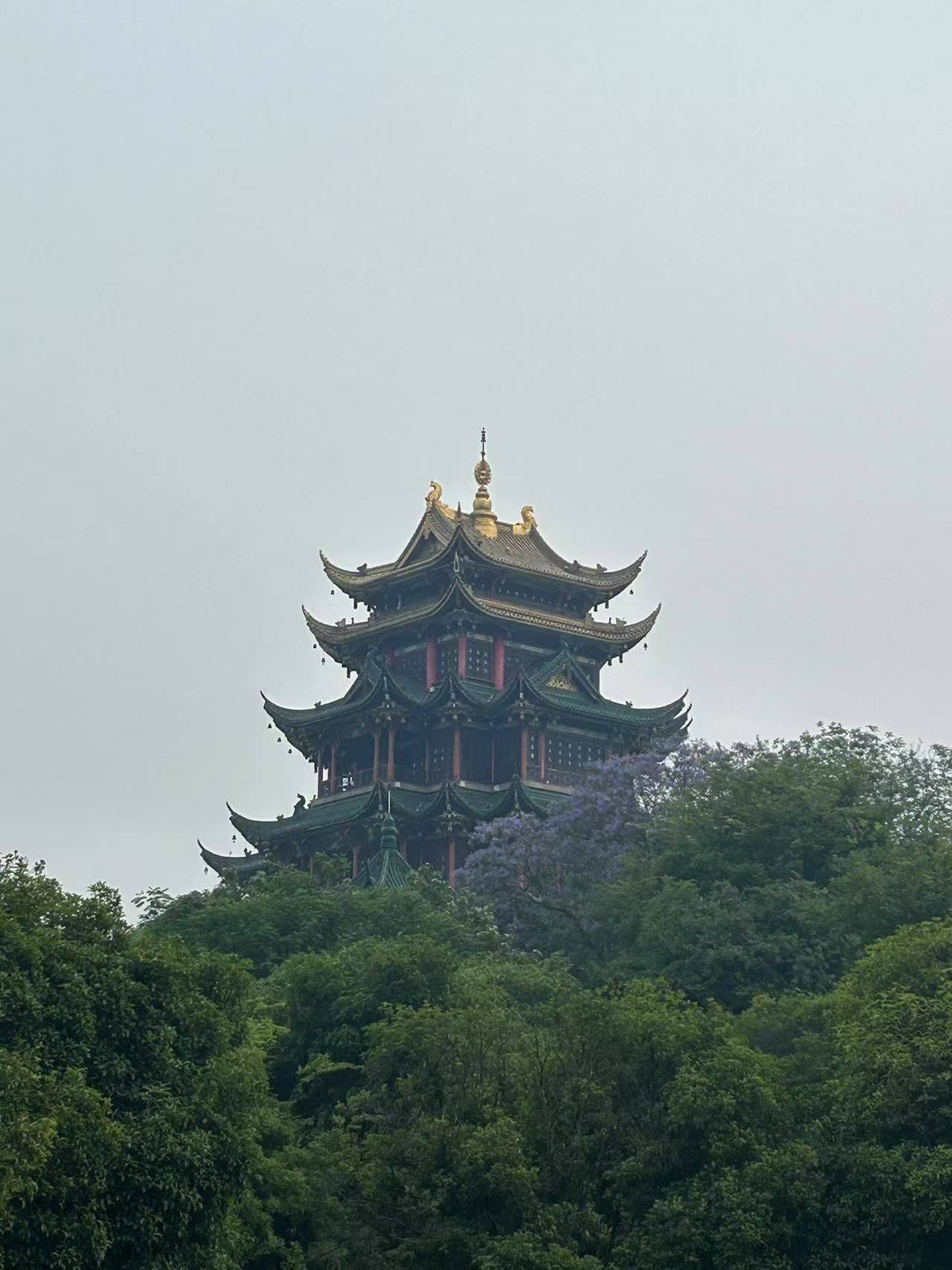  漫步大自然  登高望远 