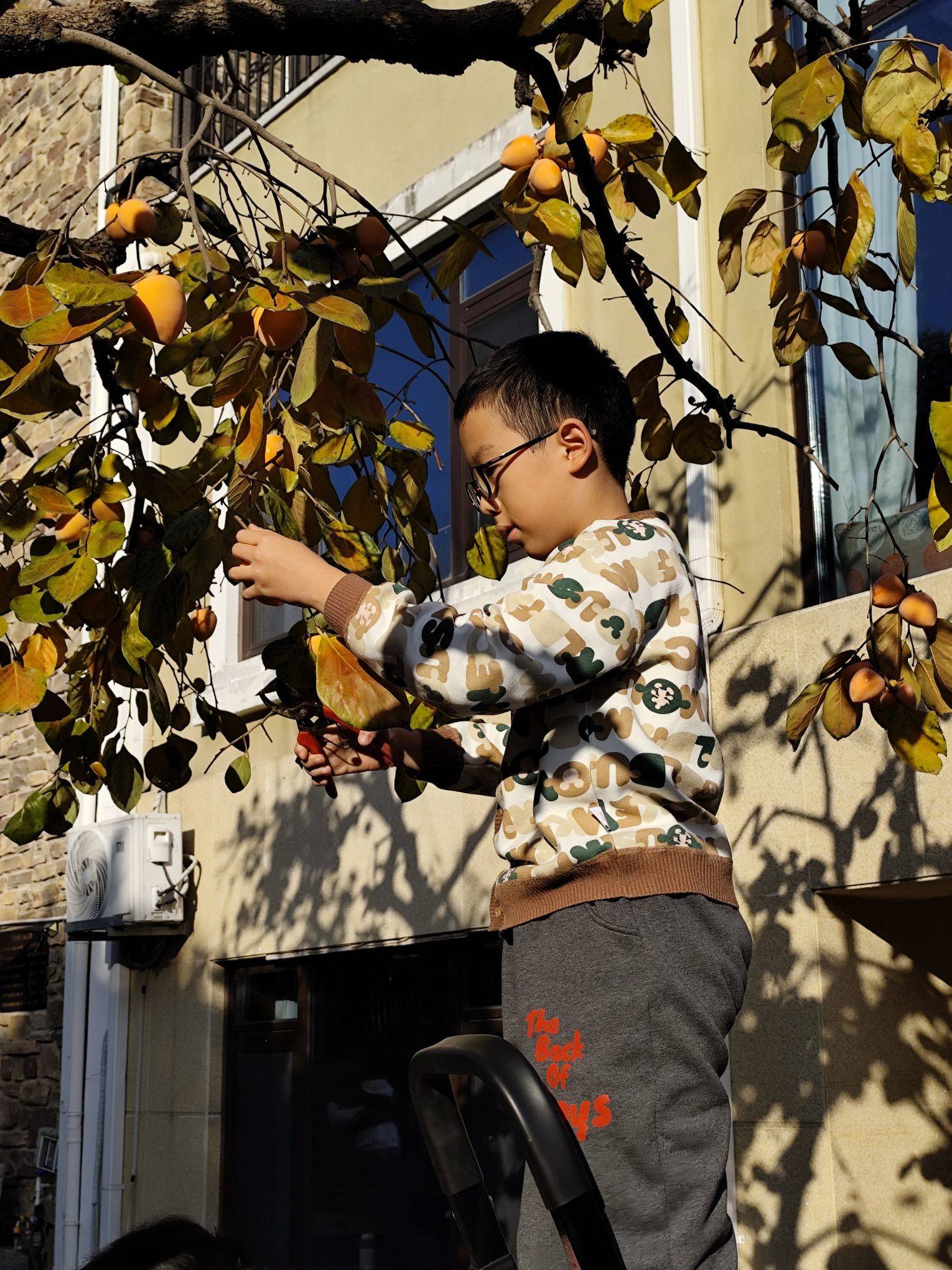 红叶醉秋色，碧溪弹夜弦，济南山大路和平路_2