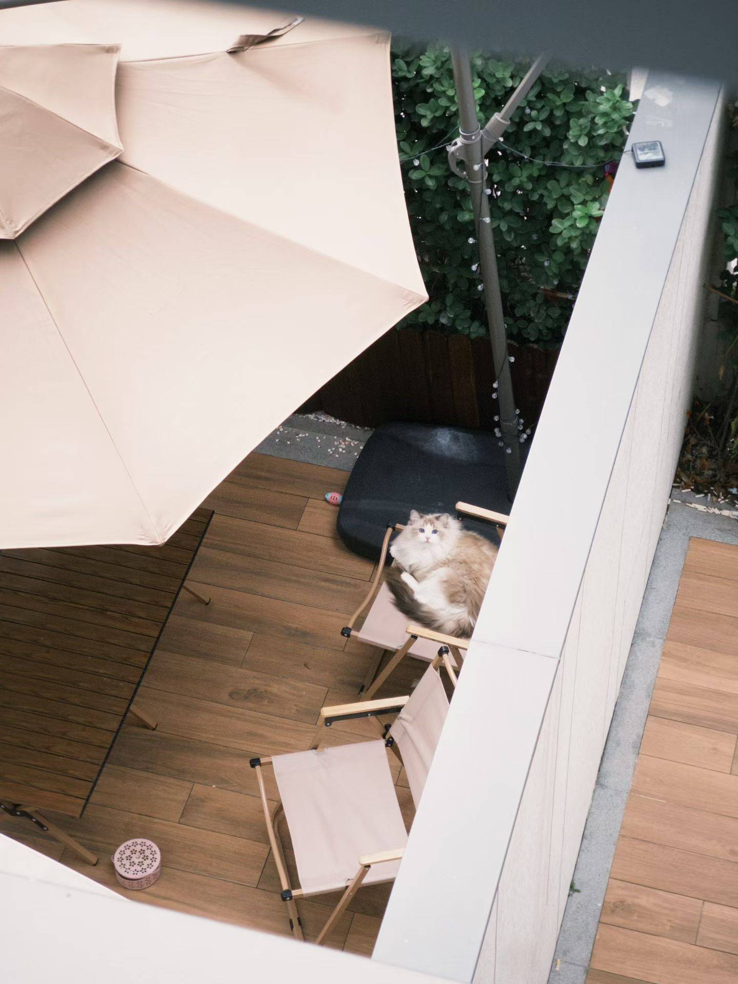  我心爱的小角落 