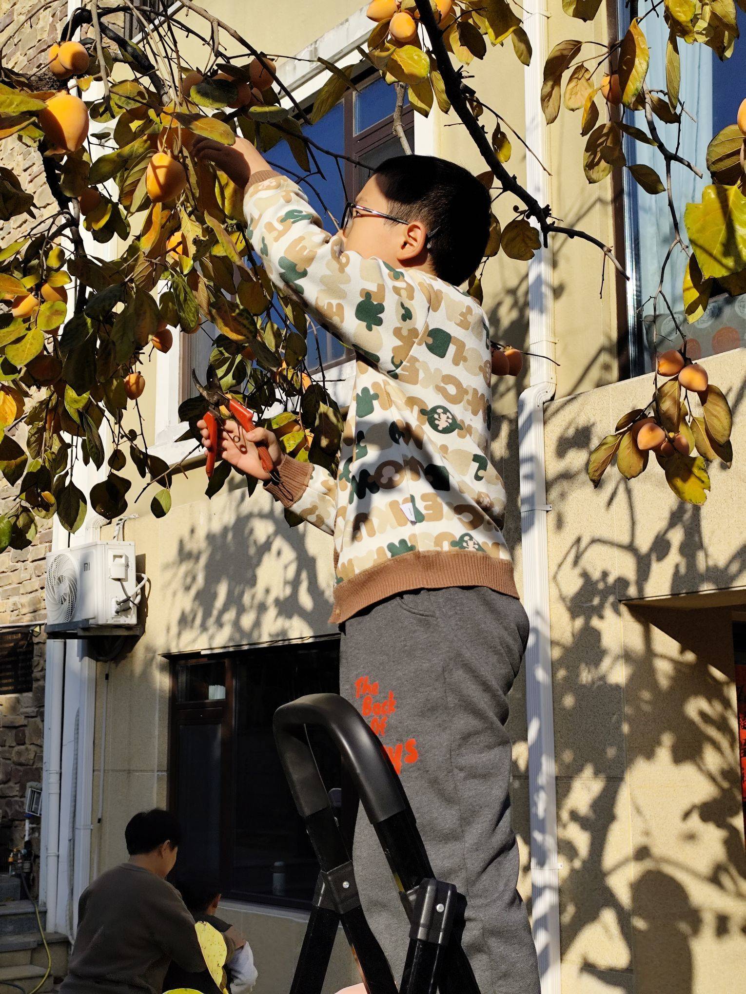 红叶醉秋色，碧溪弹夜弦，济南山大路和平路_1