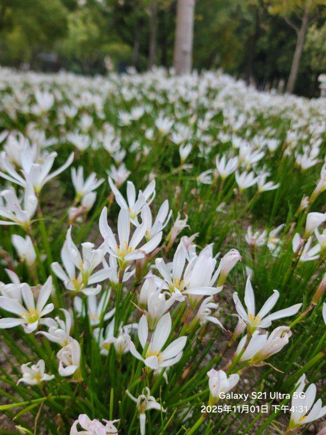 漕河泾地铁在线蹲室友，不用中介费性价比王