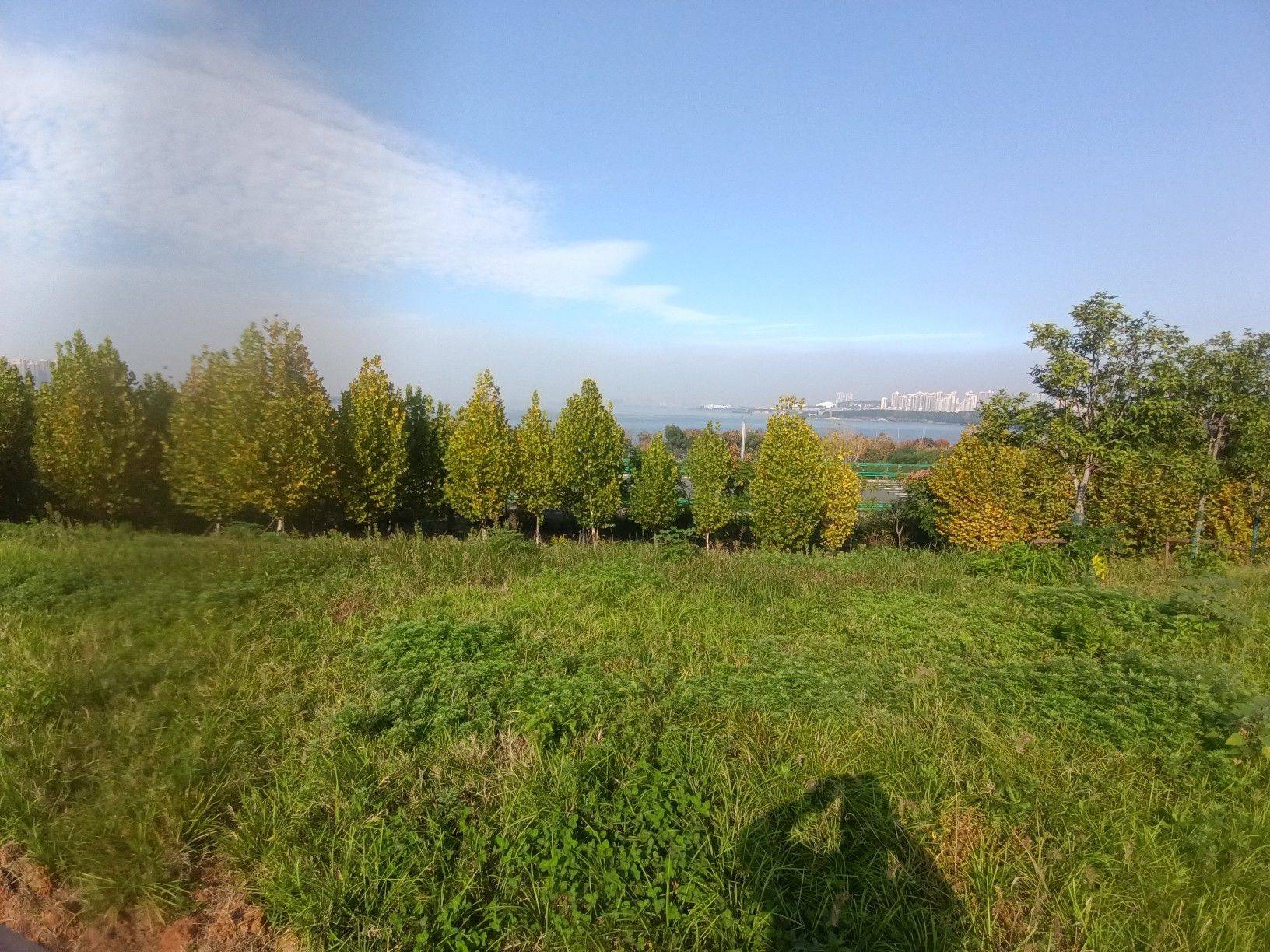  公园草地 出来晒太阳，房间里面蜗长了