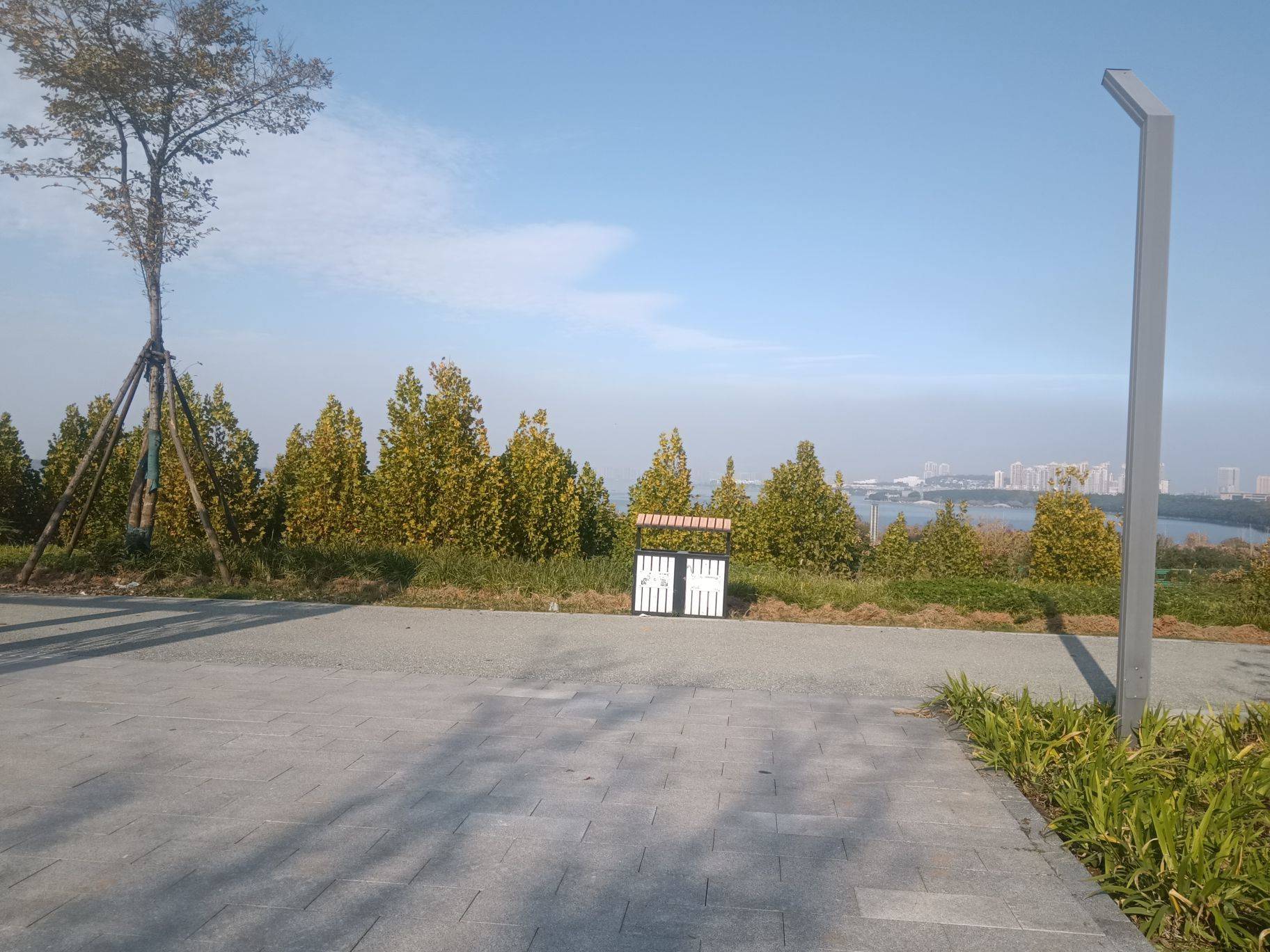  公园草地 出来晒太阳，房间里面蜗长了_1