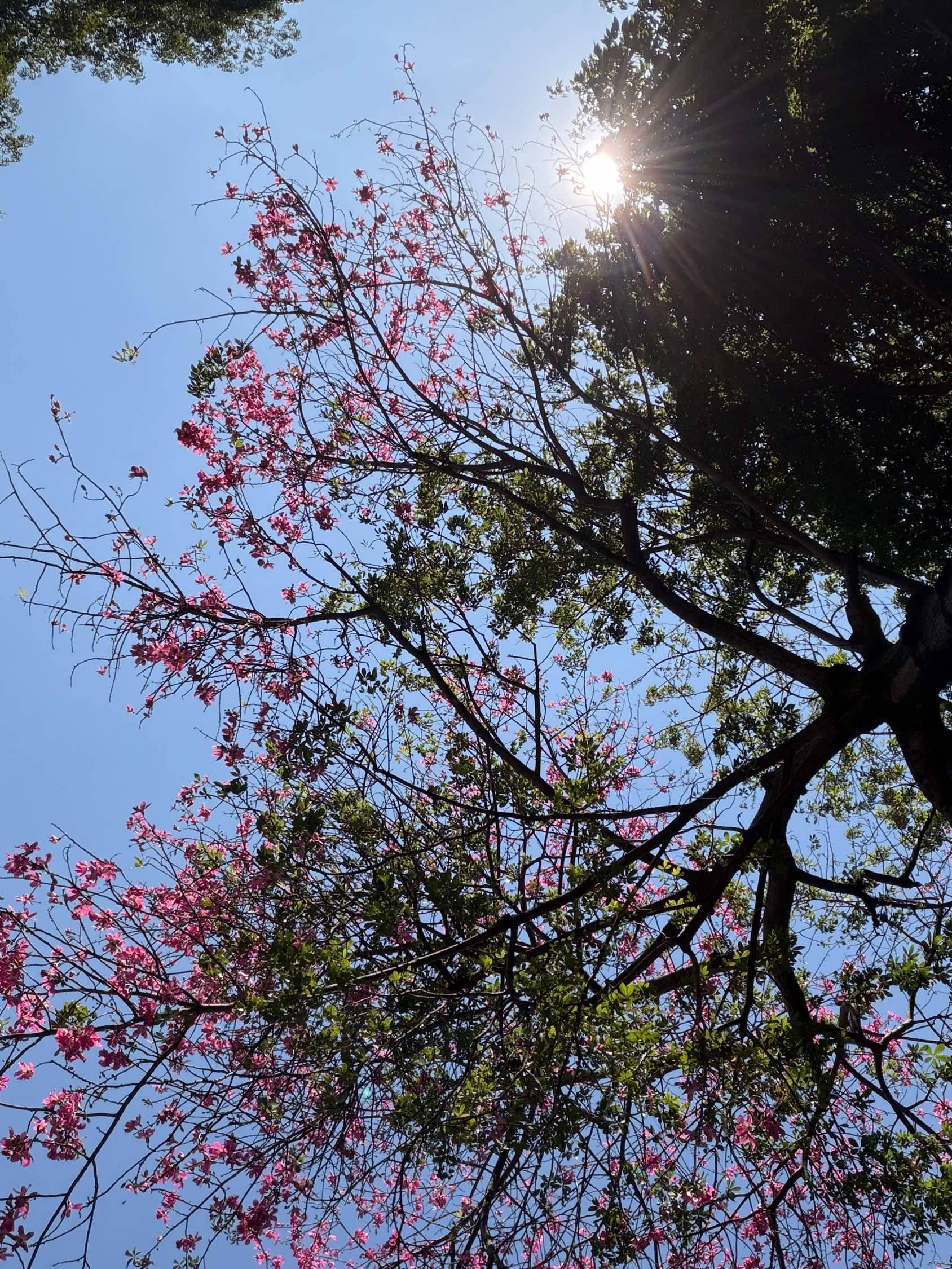 广州天河区6号线柯木塱有人来租房吗？