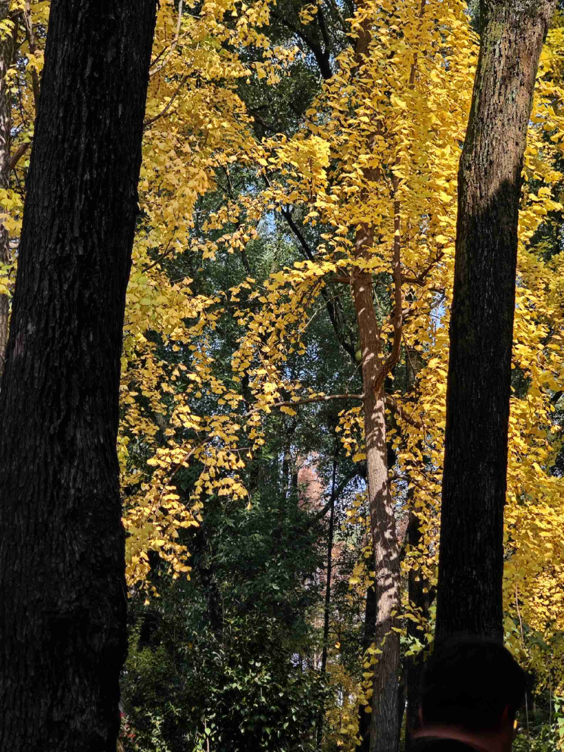 八小时以外的生活圈 享受当下  拉花_1