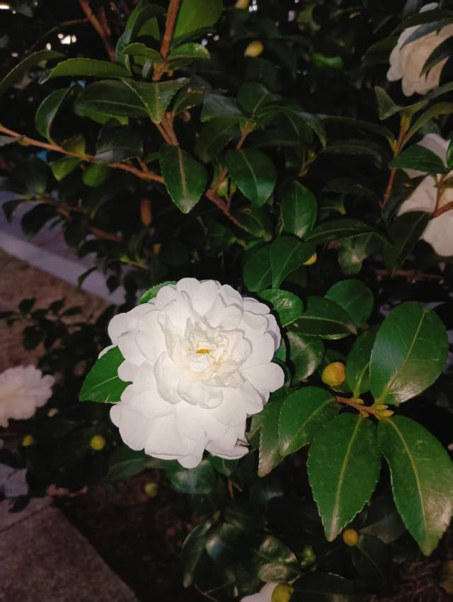 湖南的秋天短的像上学时理发师剪的头发_2