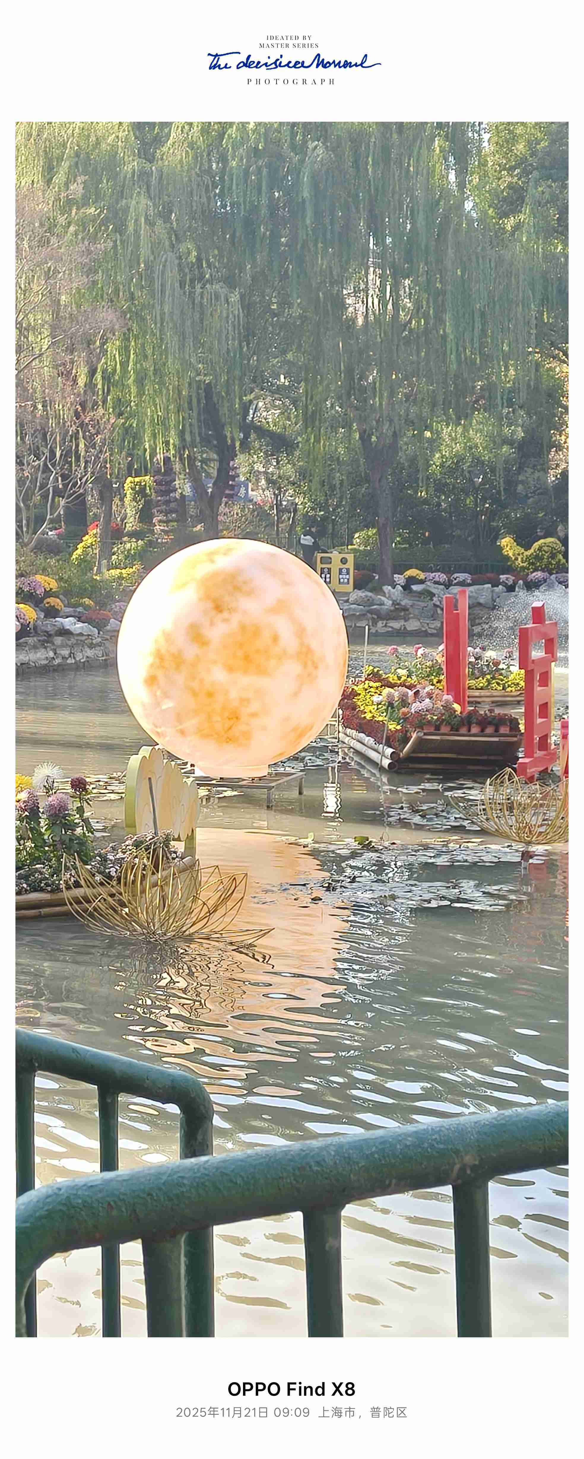 上海宜川公园菊花爆满