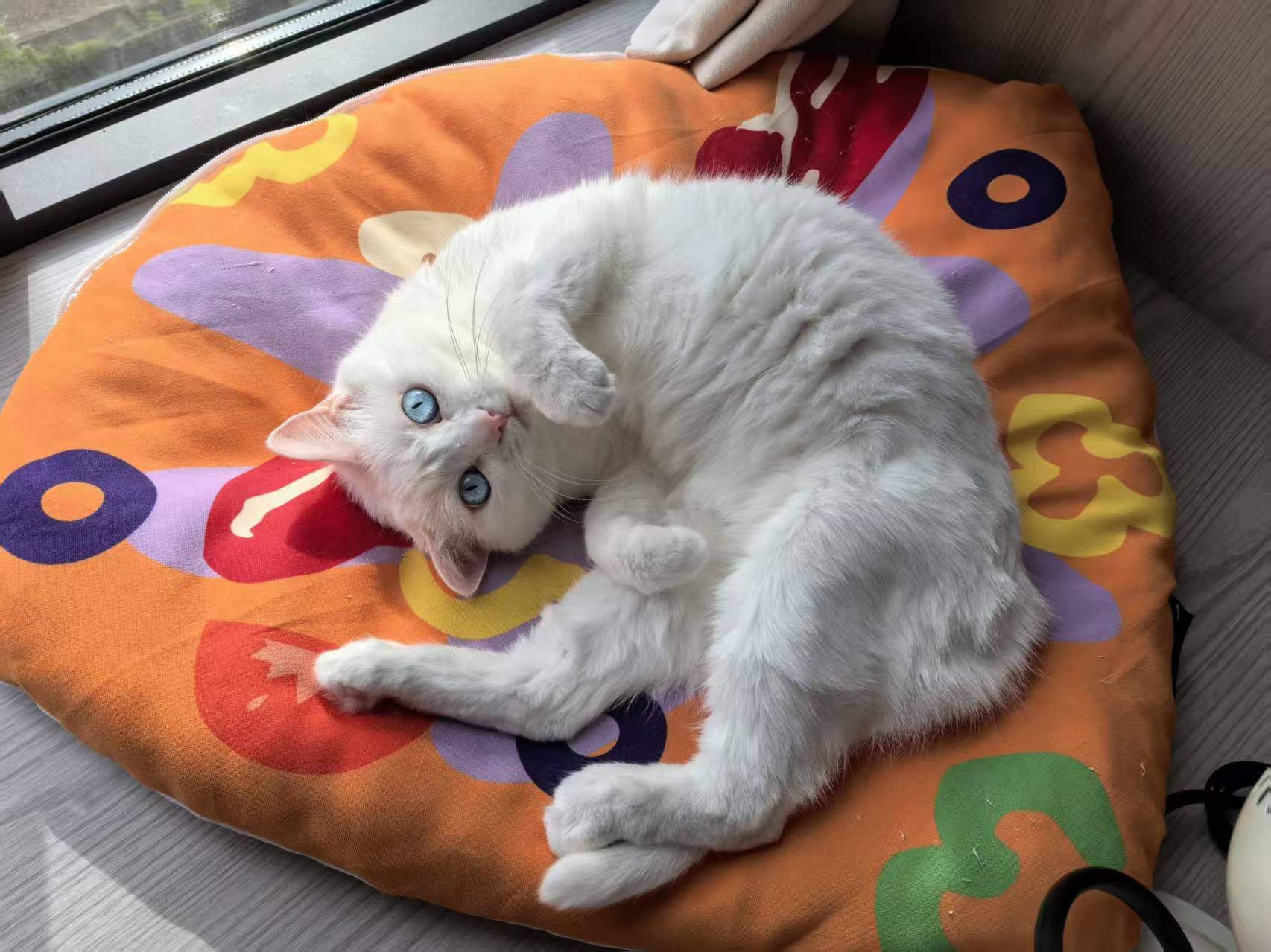 找室友，房源暂无，符合条件都可以商量（图