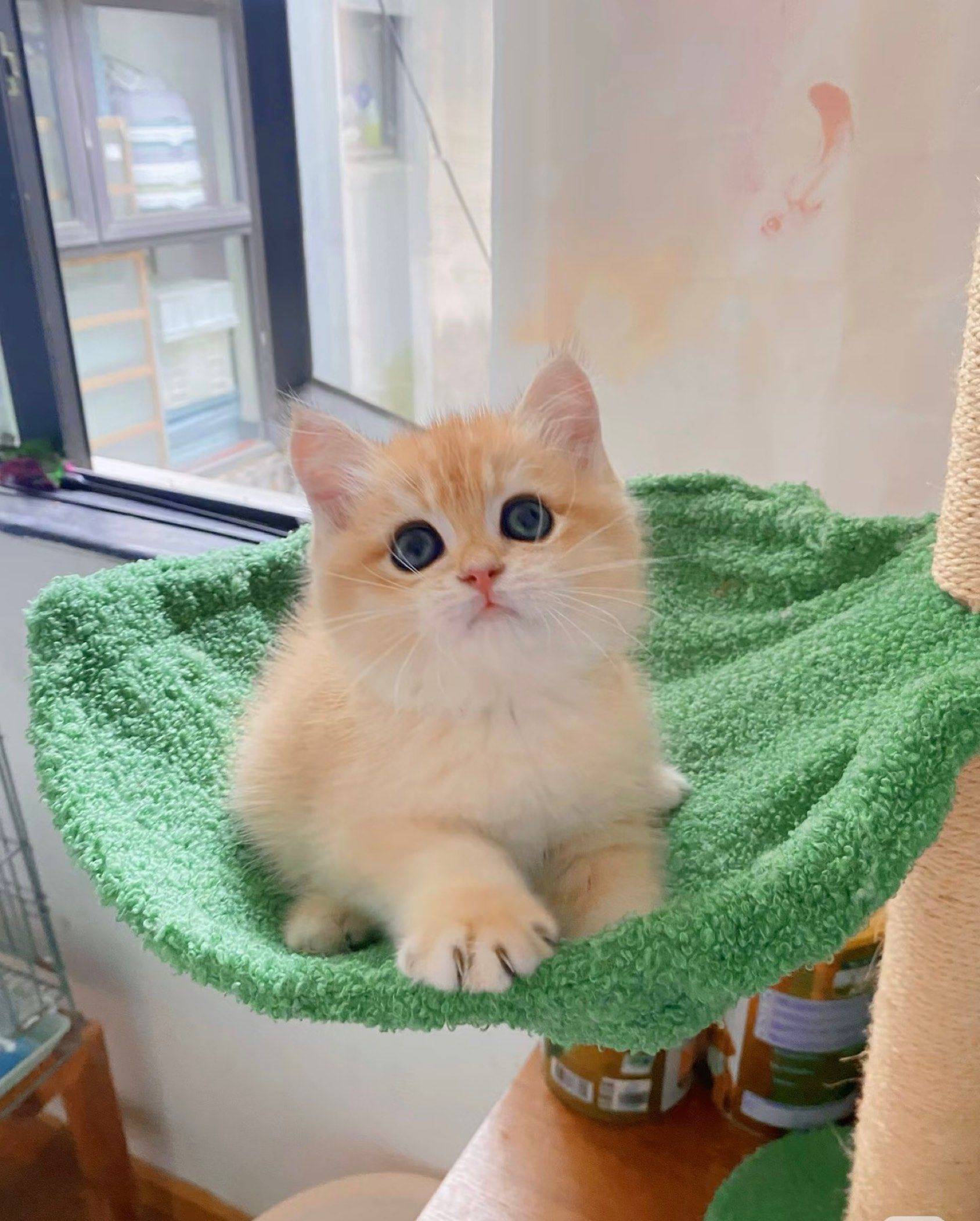 沈阳 中街蹲室友