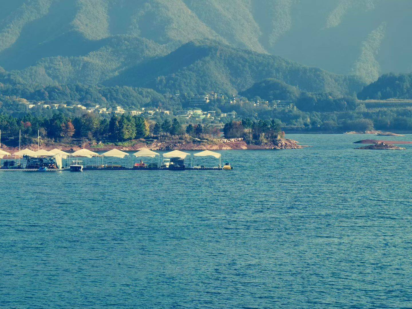 📷 我言秋日胜春朝