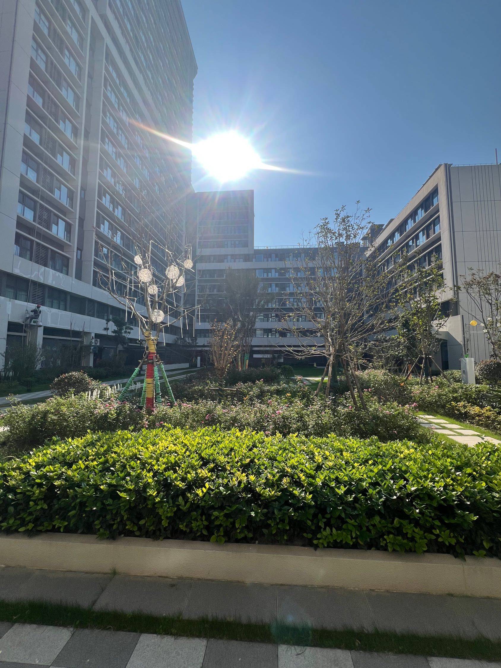  我心爱的小角落 