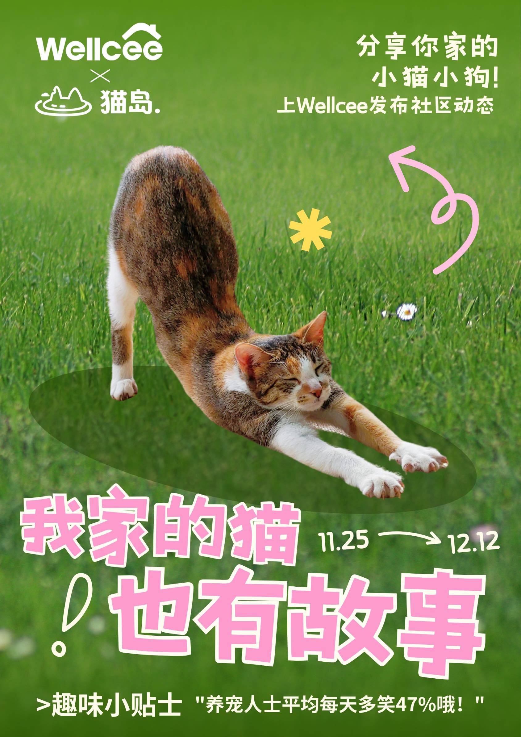 可以再讲一次选中我的故事吗？
