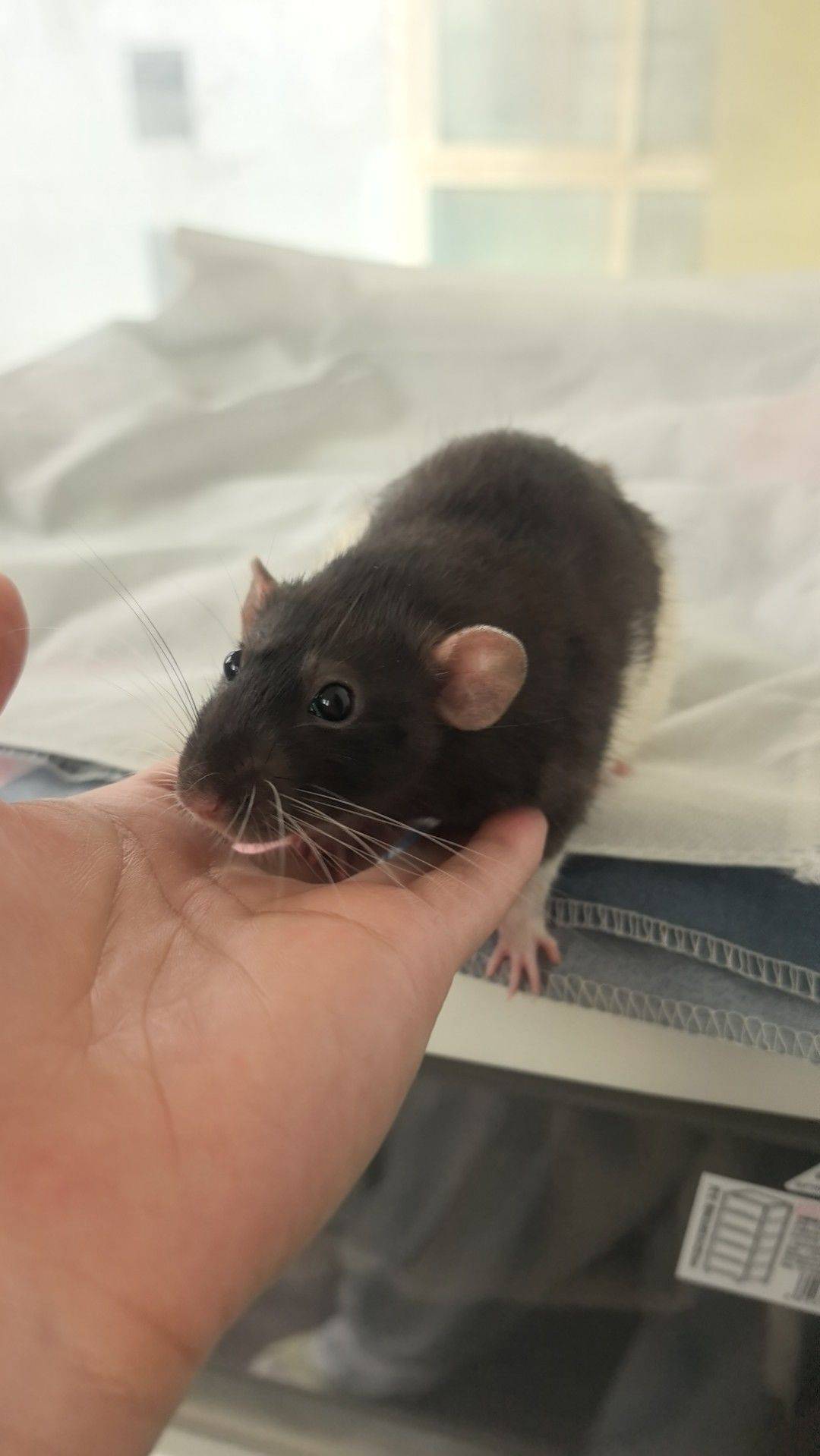 找合租室友一位男女不限