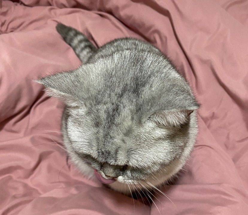 记录小鼻嘎日常～