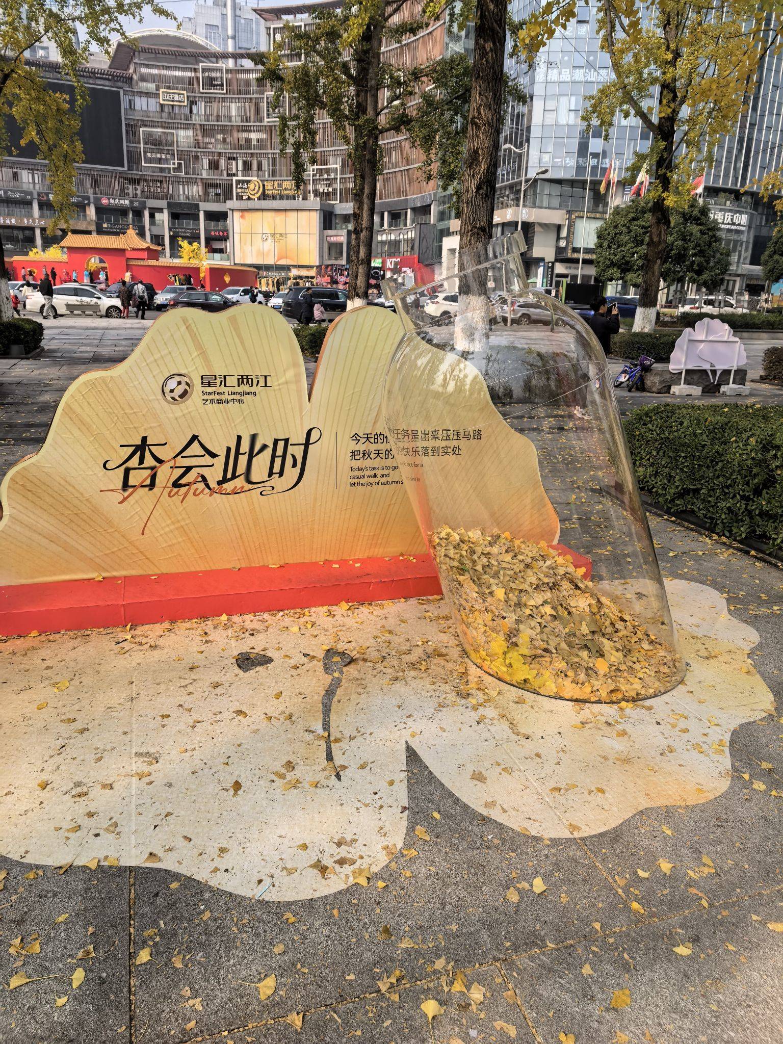  秋日街景  记录我的城市  城市_2