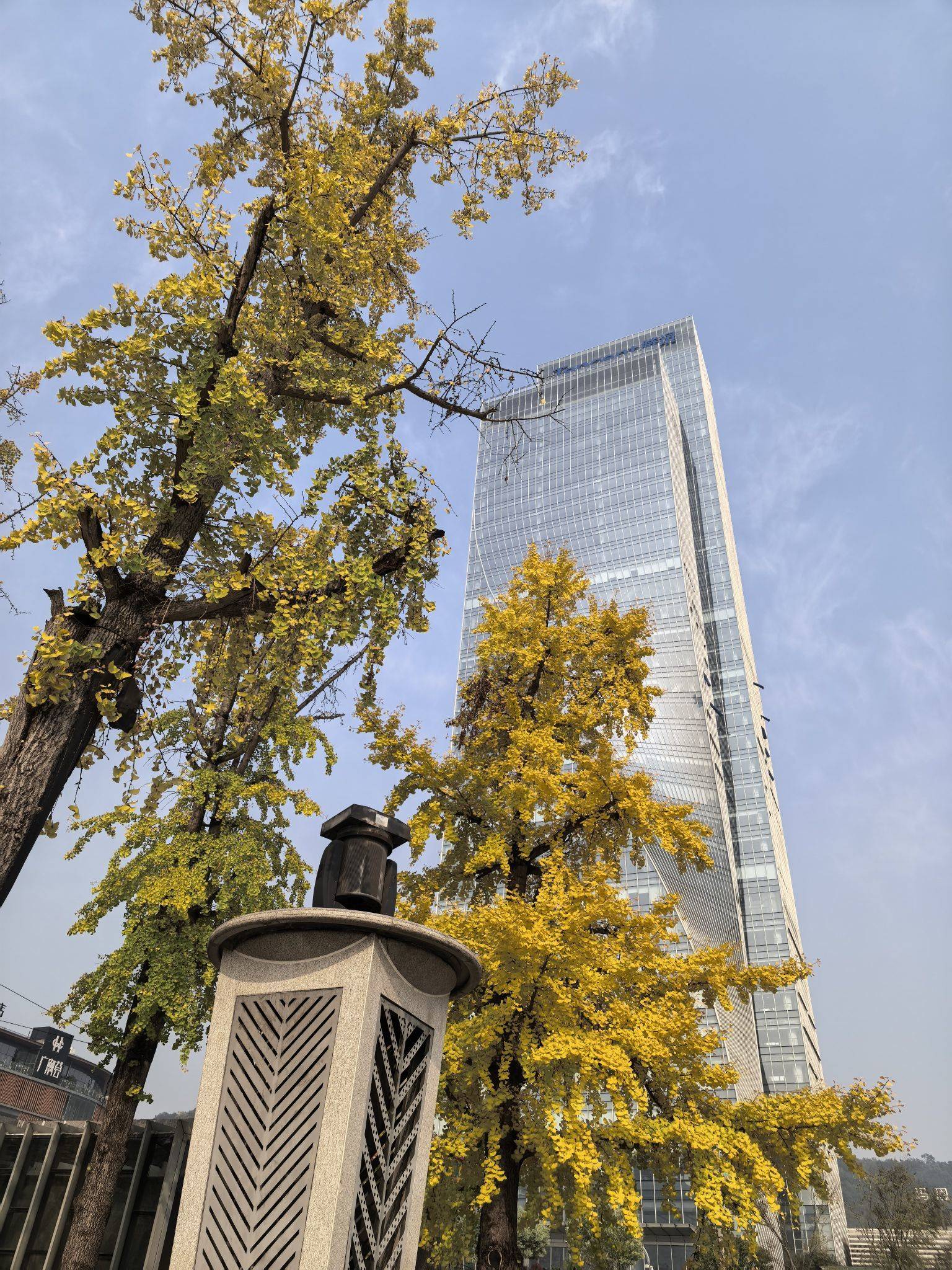  秋日街景  记录我的城市  城市