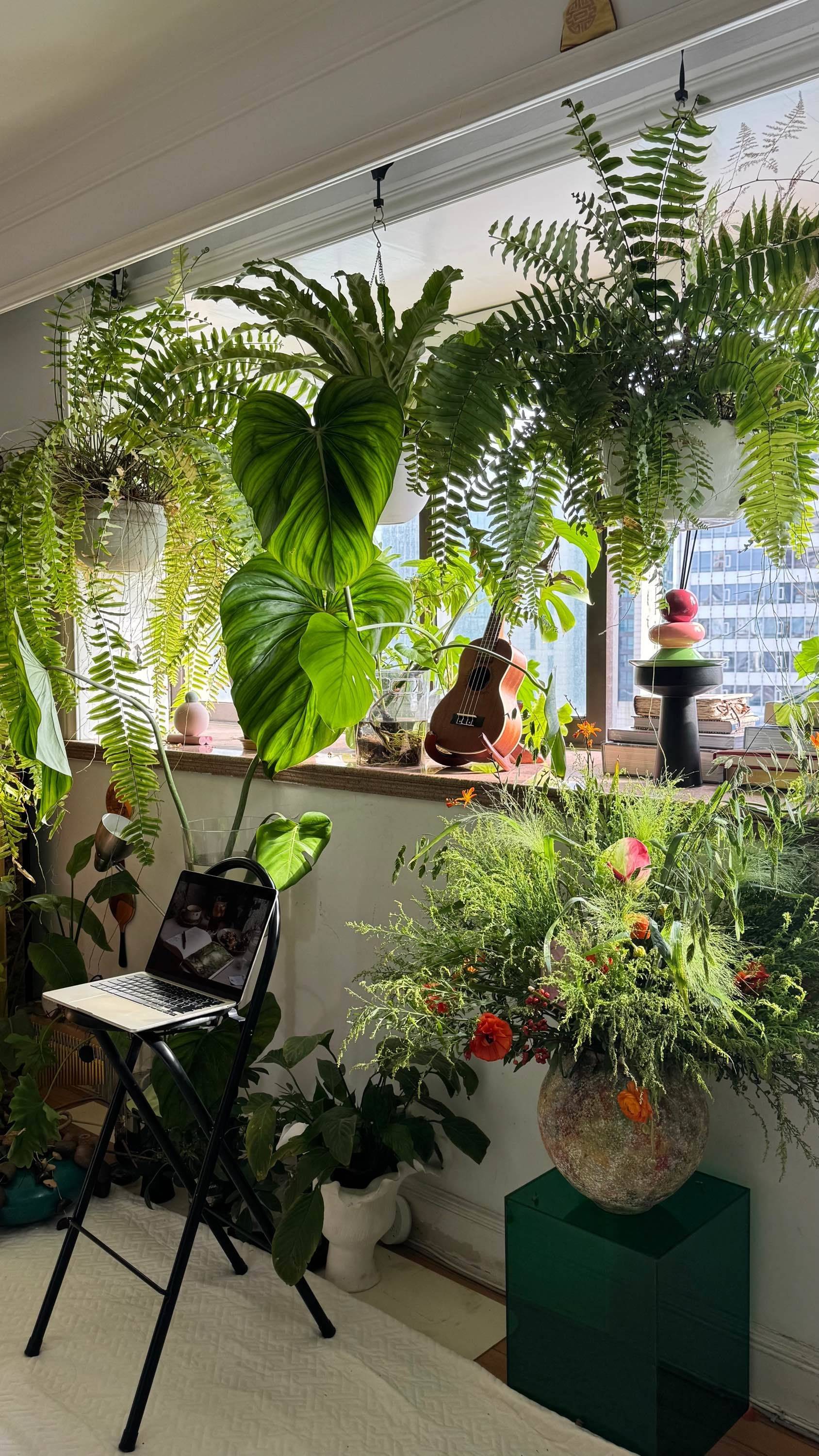 静安寺的疗愈之家