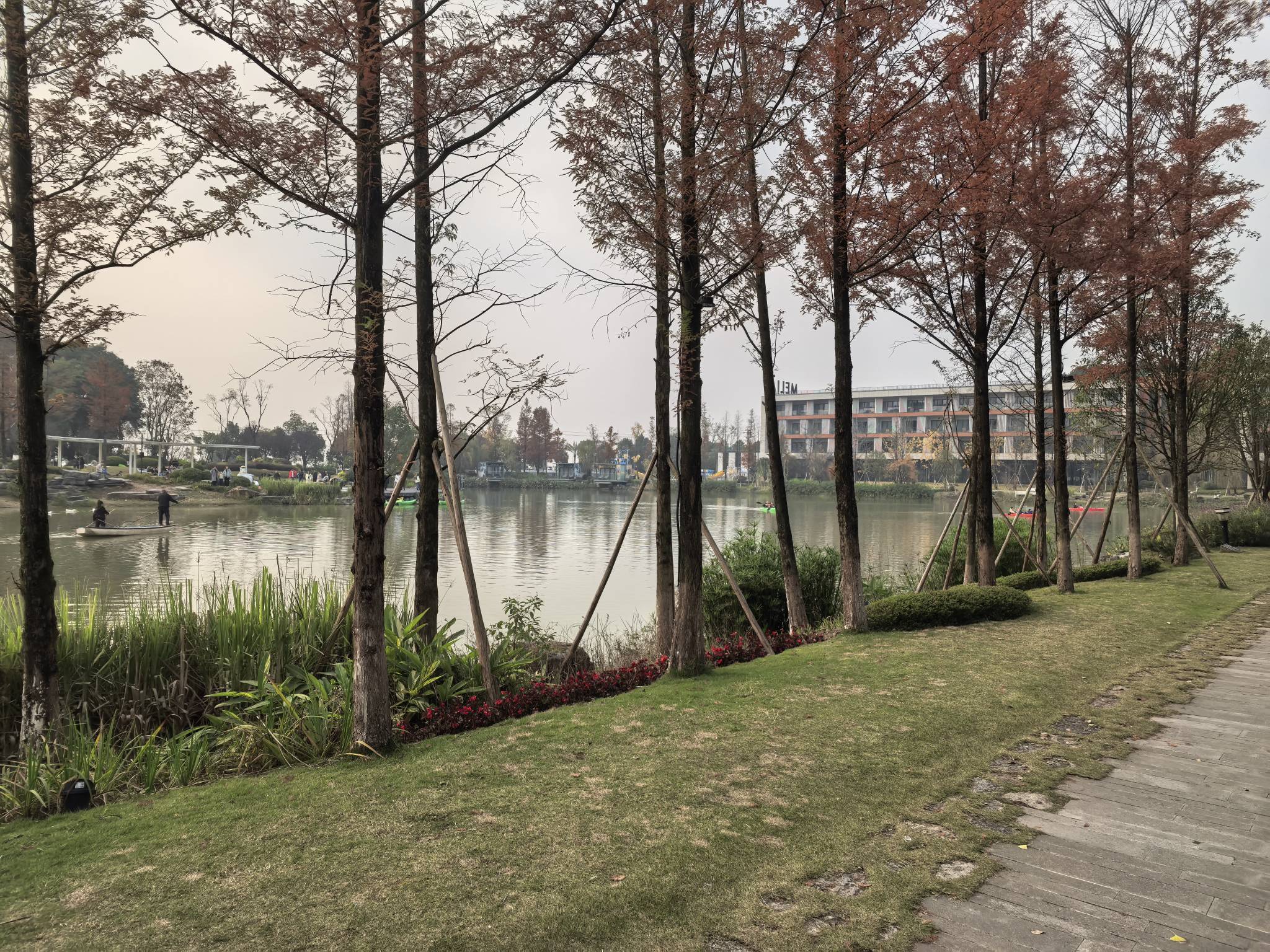  漫步大自然  傍晚散步  林间步_1